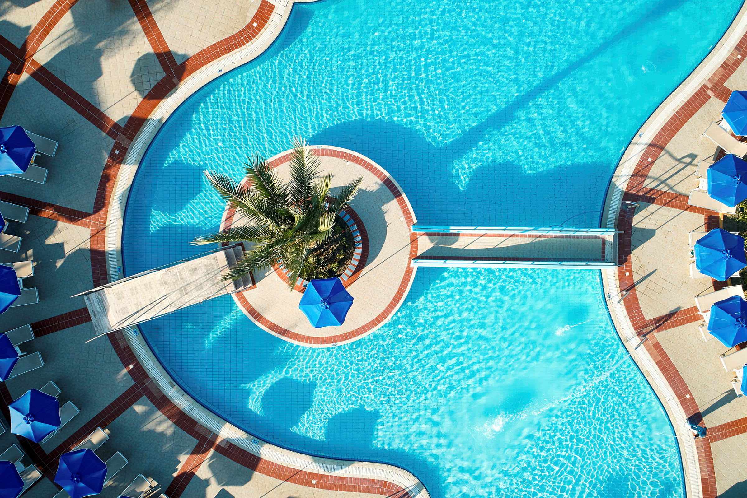 Udsigt ovenfra af en blå swimmingpool med palmer og parasoller. (AI-genereret tekst)