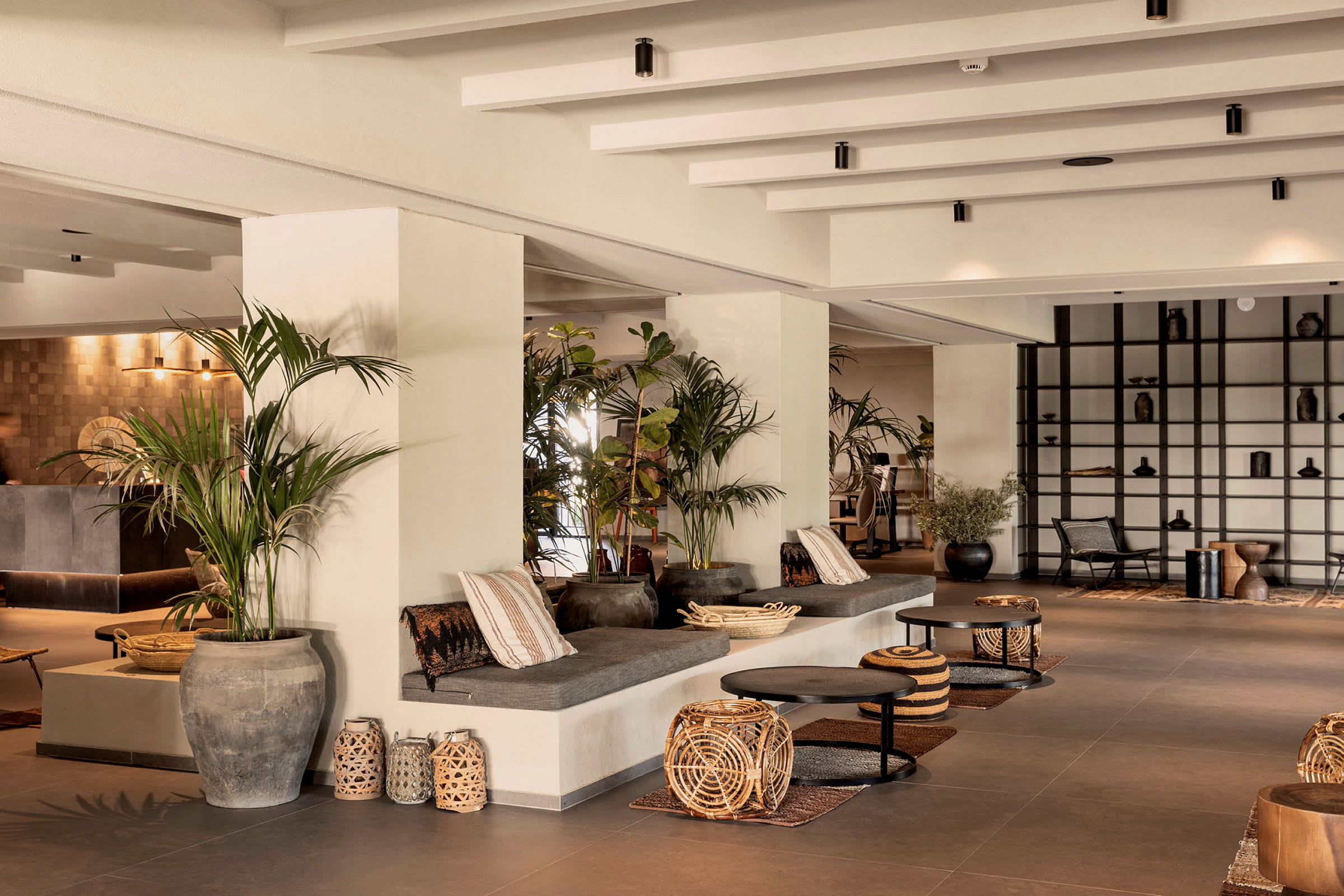 Lyst og moderne loungemiljø med sofaer, borde og store planter. (AI-genereret tekst)