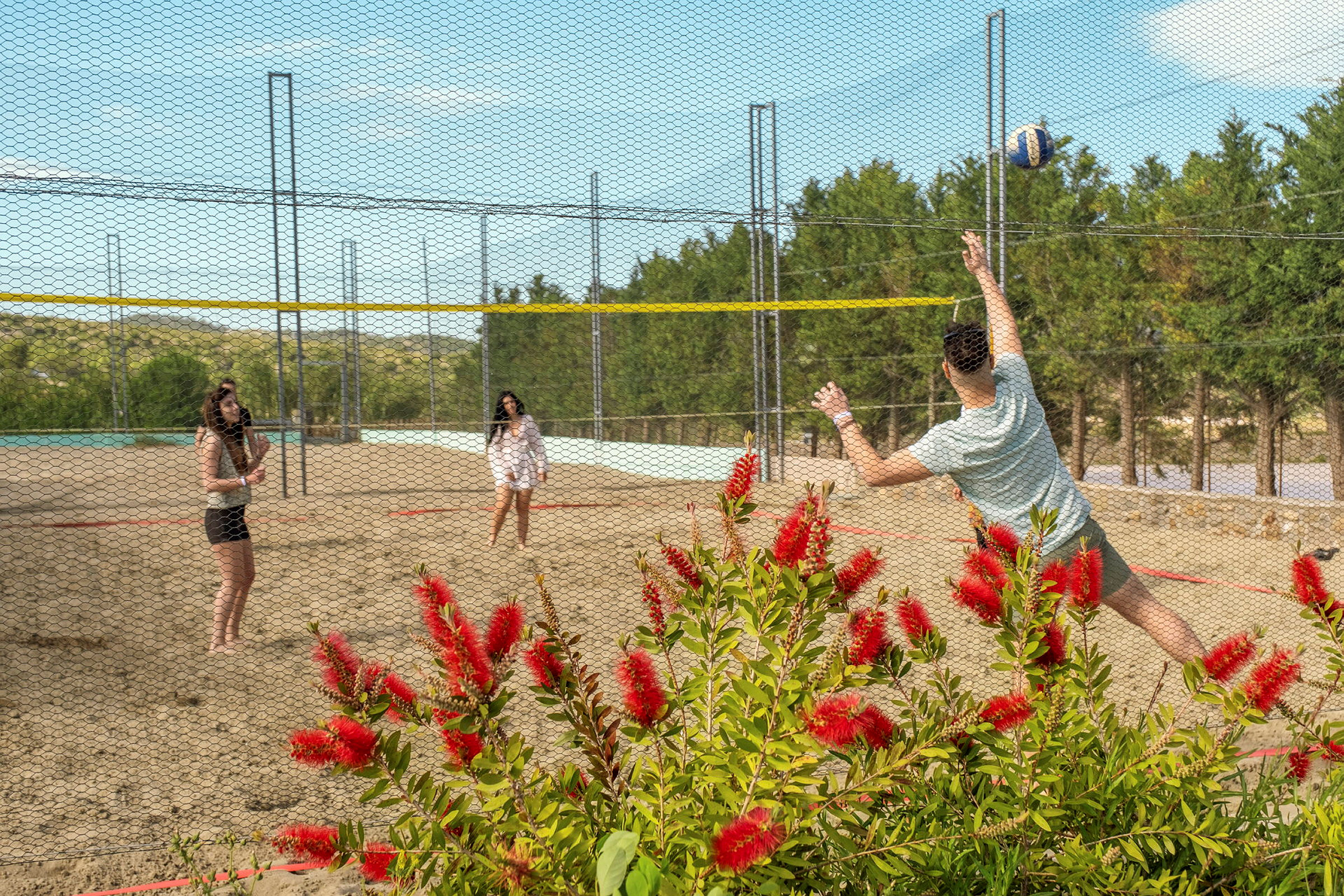 Personer spiller volleyball på en sandbane med en blomstrende busk i forgrunden. (AI-genereret tekst)