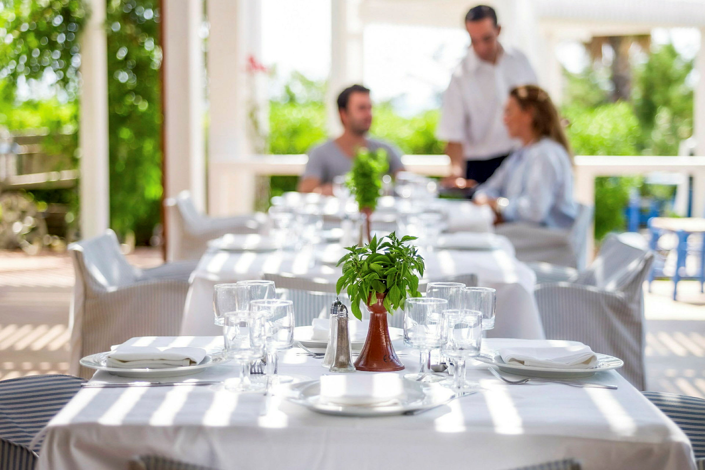 Et bord i en restaurant med en plante som dekoration og dækket med tallerkener og glas. (AI-genereret tekst)