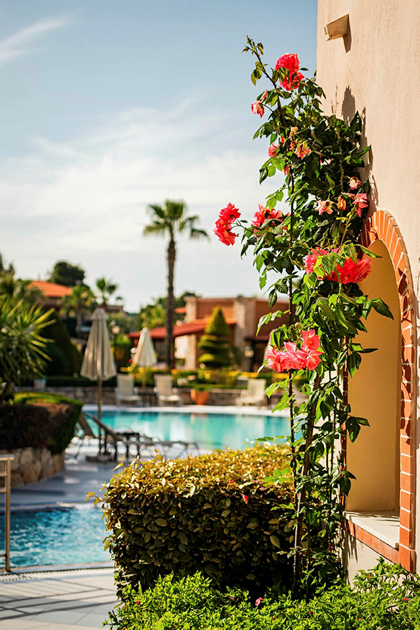 En husfacade med voksende lyserøde blomster i forgrunden. I baggrunden ses en pool med liggestole, parasoller og træer. (AI-genereret tekst)