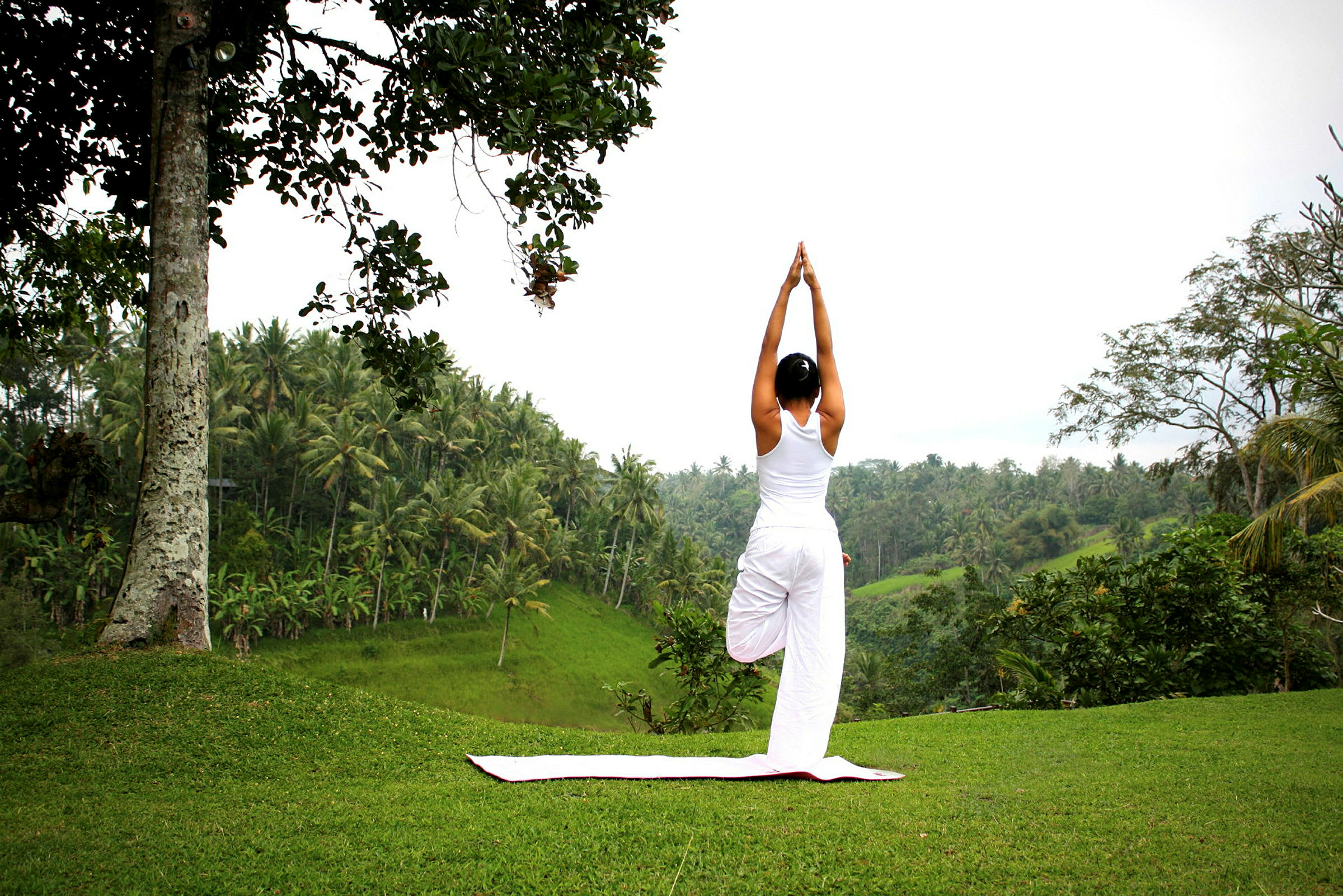 En person, der dyrker yoga i en frodig tropisk omgivelser. (AI-genereret tekst)