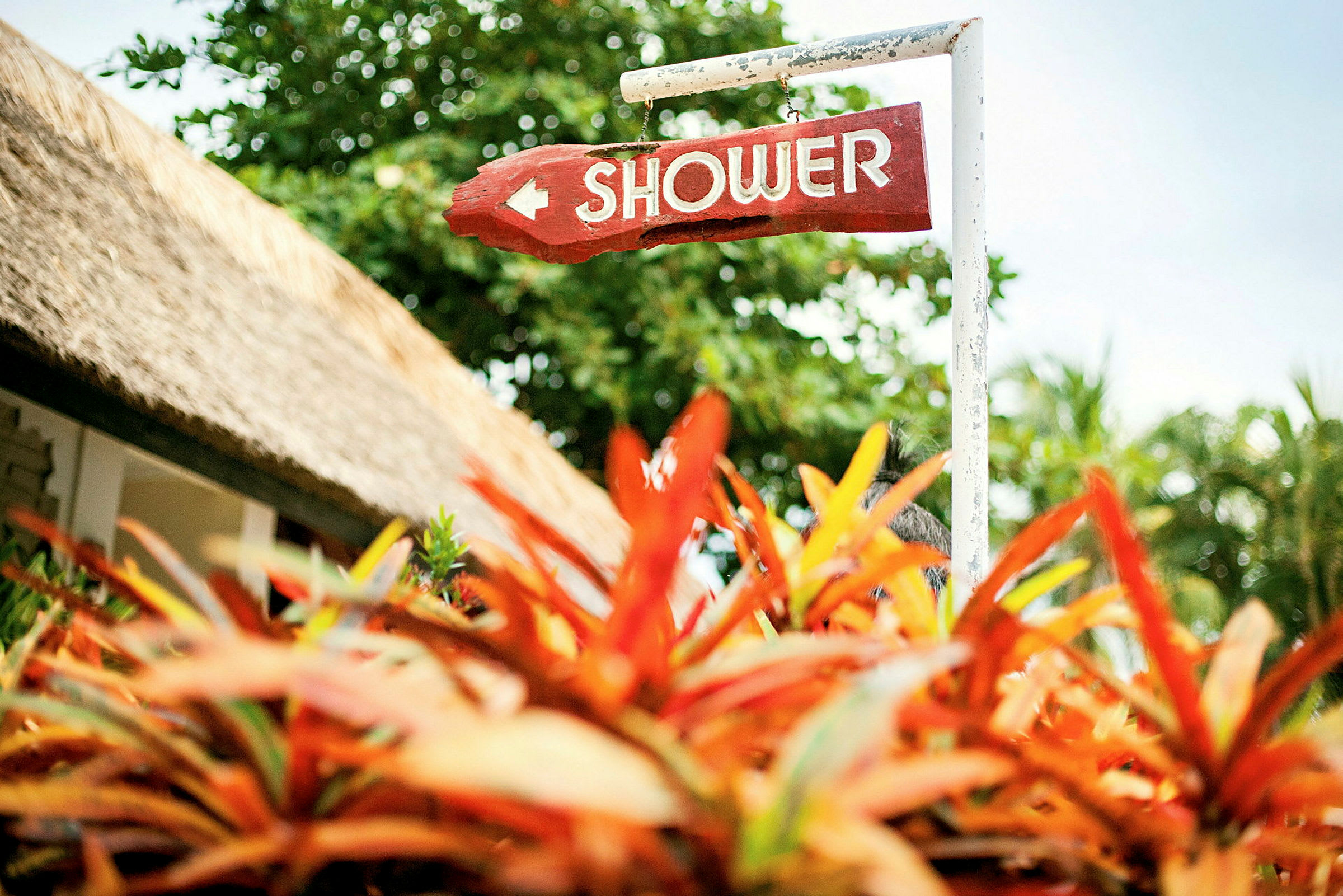 Et skilt med teksten "Shower" peger i en retning, omgivet af frodige planter og et stråtag i baggrunden. (AI-genereret tekst)