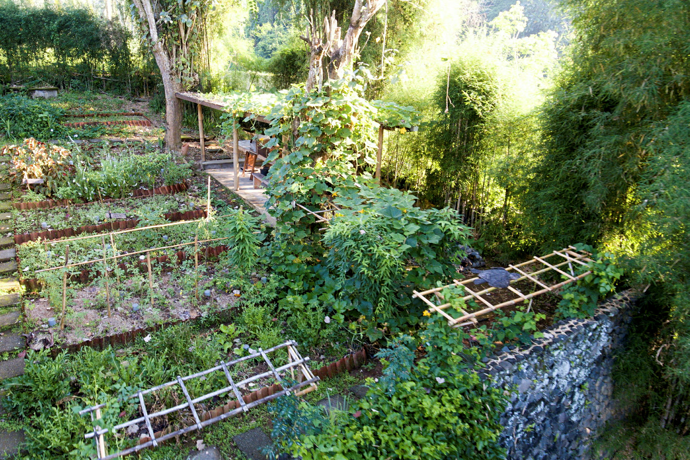 En frodig have med forskellige bede, rammer og planter, omgivet af tæt vegetation. (AI-genereret tekst)