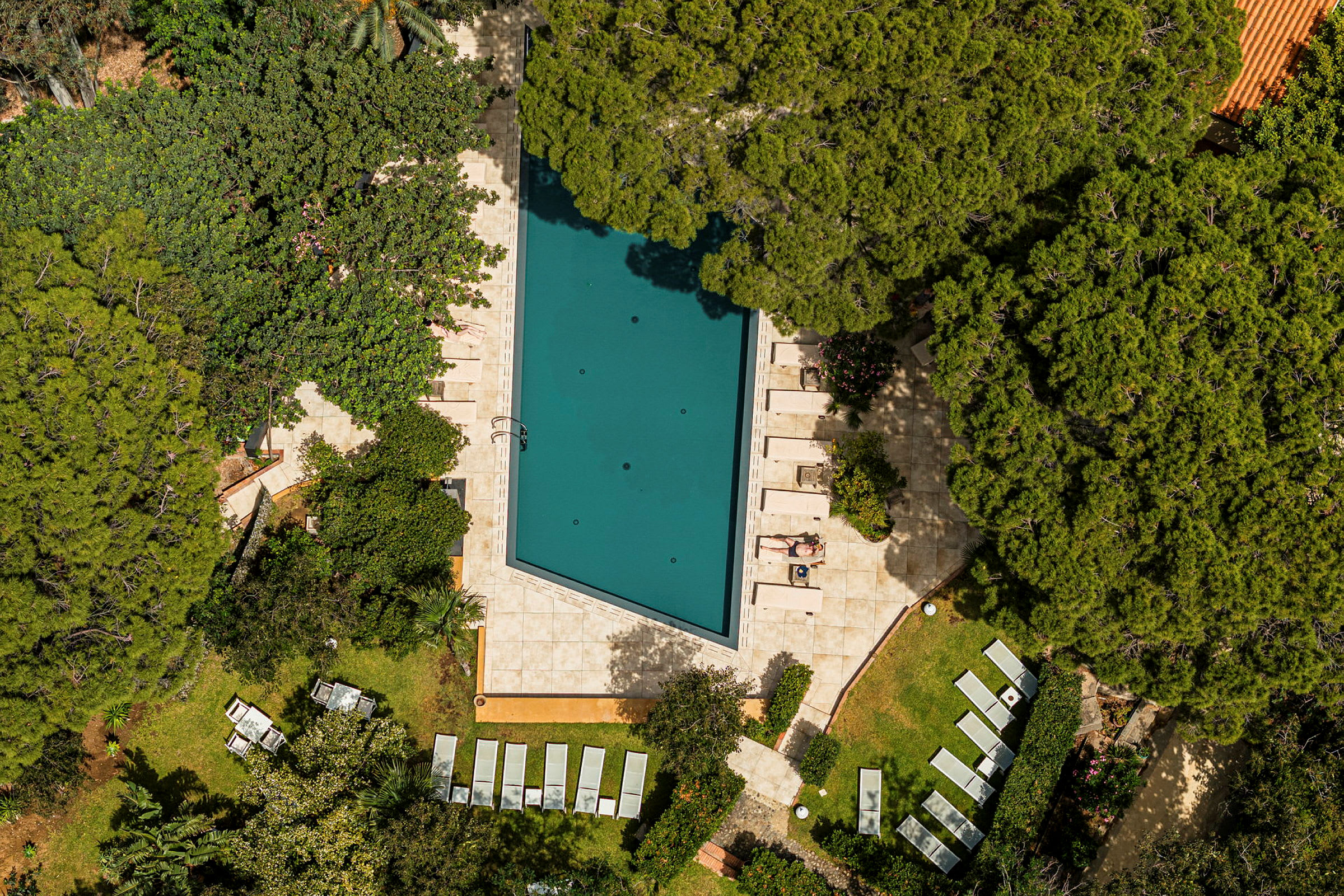 En rektangulær swimmingpool omgivet af grønne træer og liggestole, set fra oven. (AI-genereret tekst)