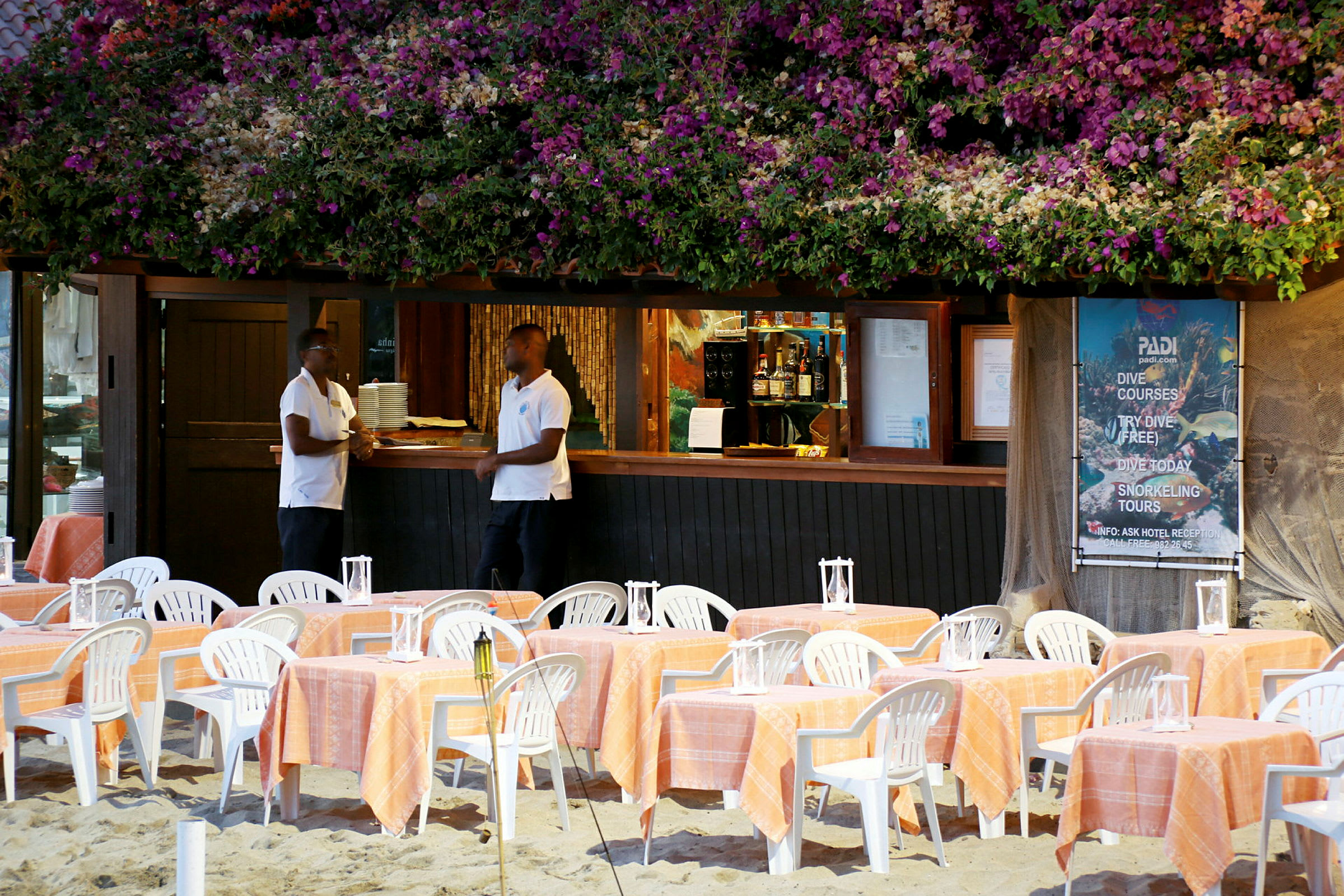 Et billede af en strandrestaurant med borde og stole med orange duge, en bar under et blomsterdækket tag og en plakat, der annoncerer dykkerkurser. (AI-genereret tekst)