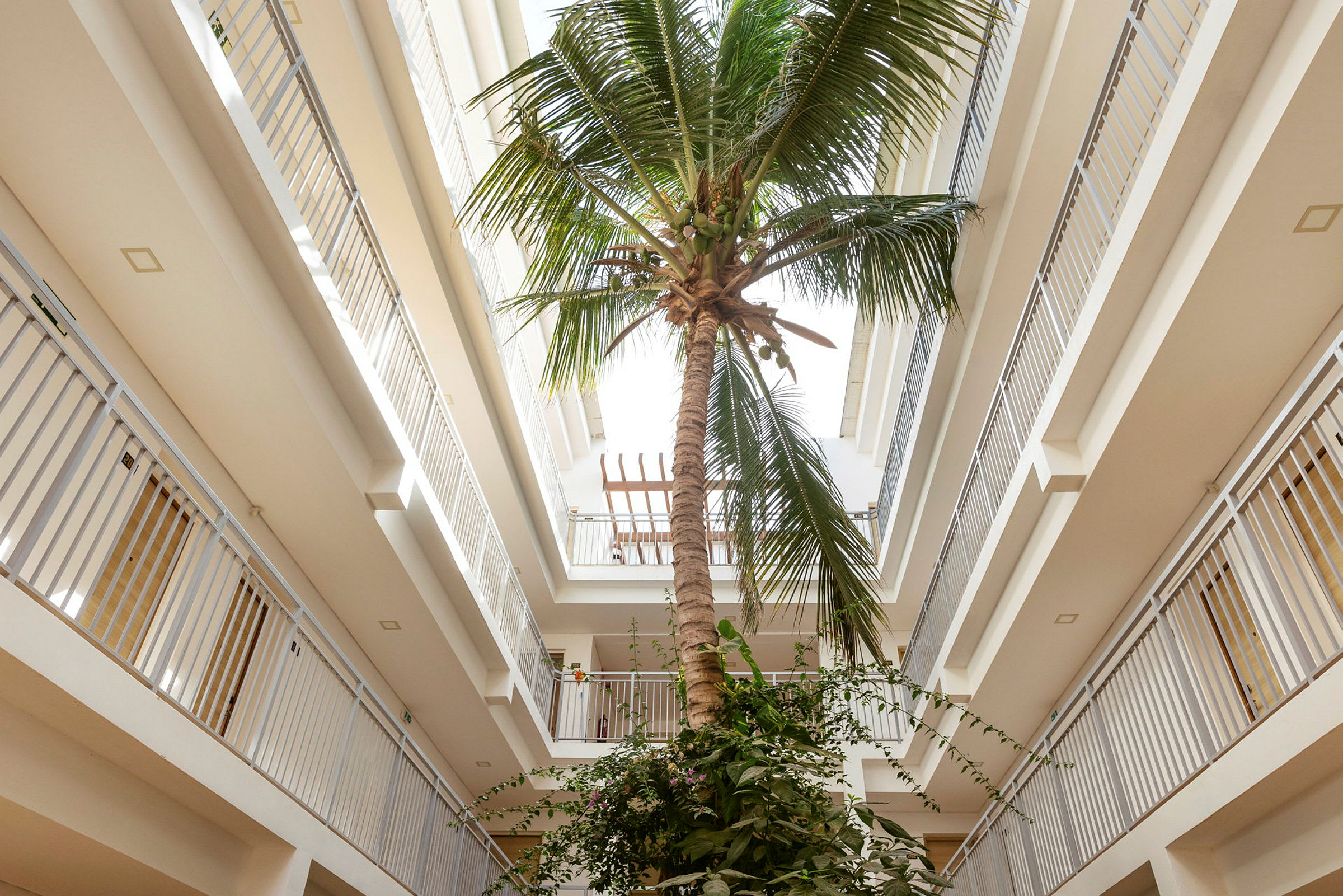 Et billede af en palme, der står inde i en bygning med flere etager. (AI-genereret tekst)