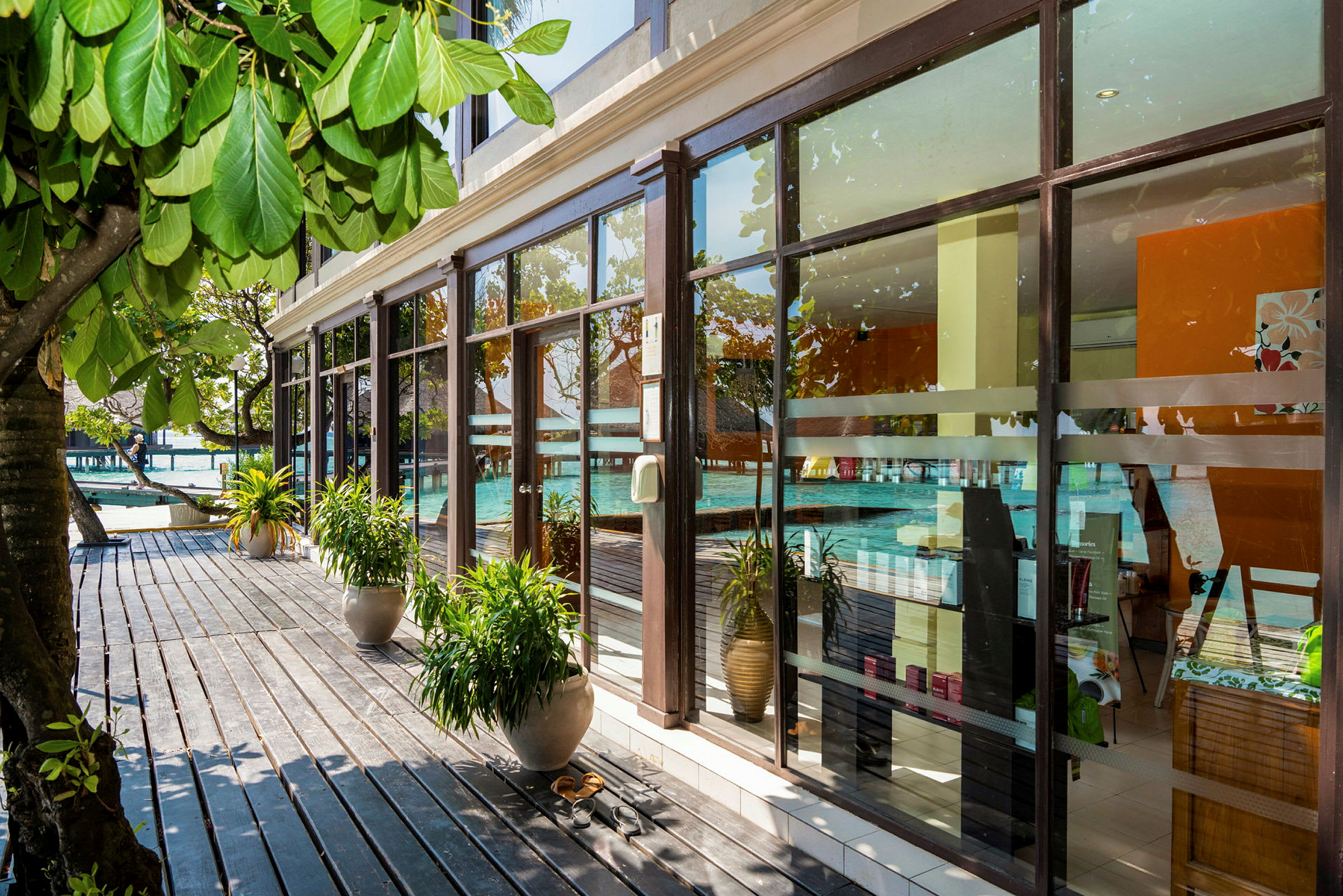 Billede af et spa med store glasvinduer og frodige planter omkring. (AI-genereret tekst)