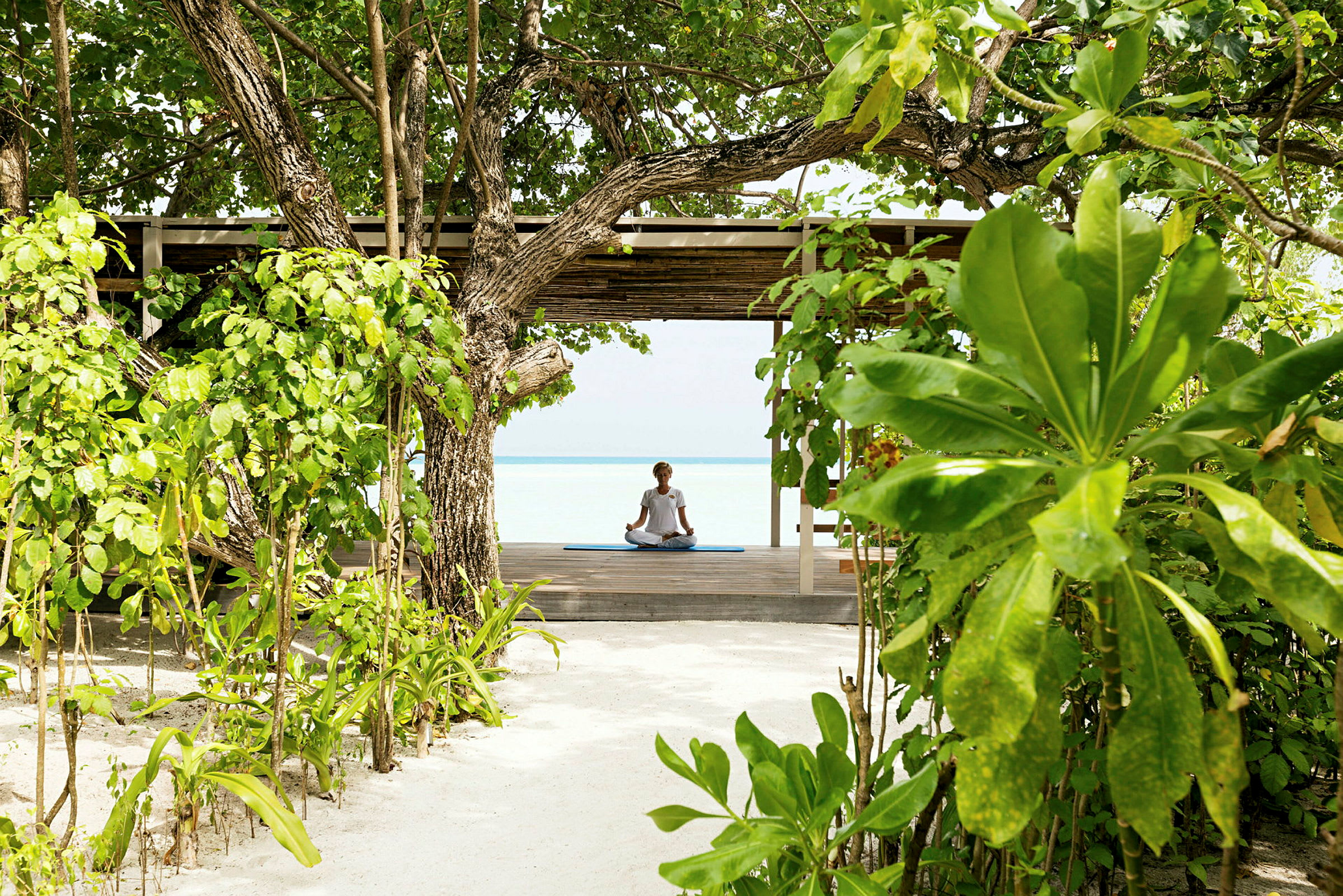 En person sidder mediterende på en platform omgivet af tropiske planter med udsigt til havet. (AI-genereret tekst)