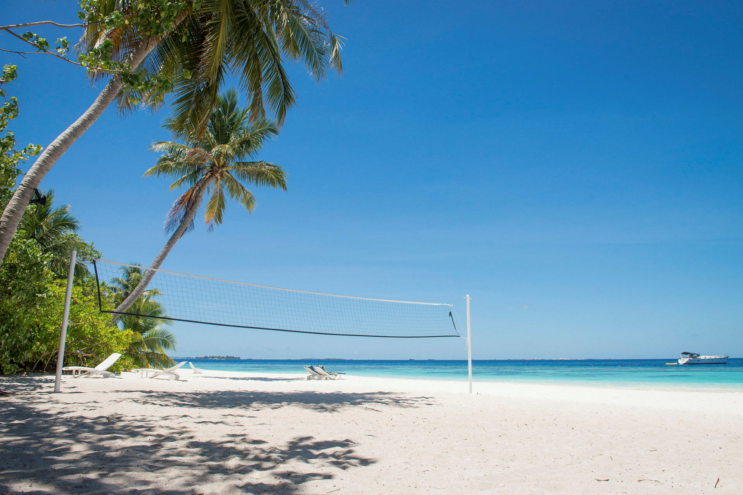 Strand med volleyballnet, palmer i baggrunden og udsigt over havet. (AI-genereret tekst)