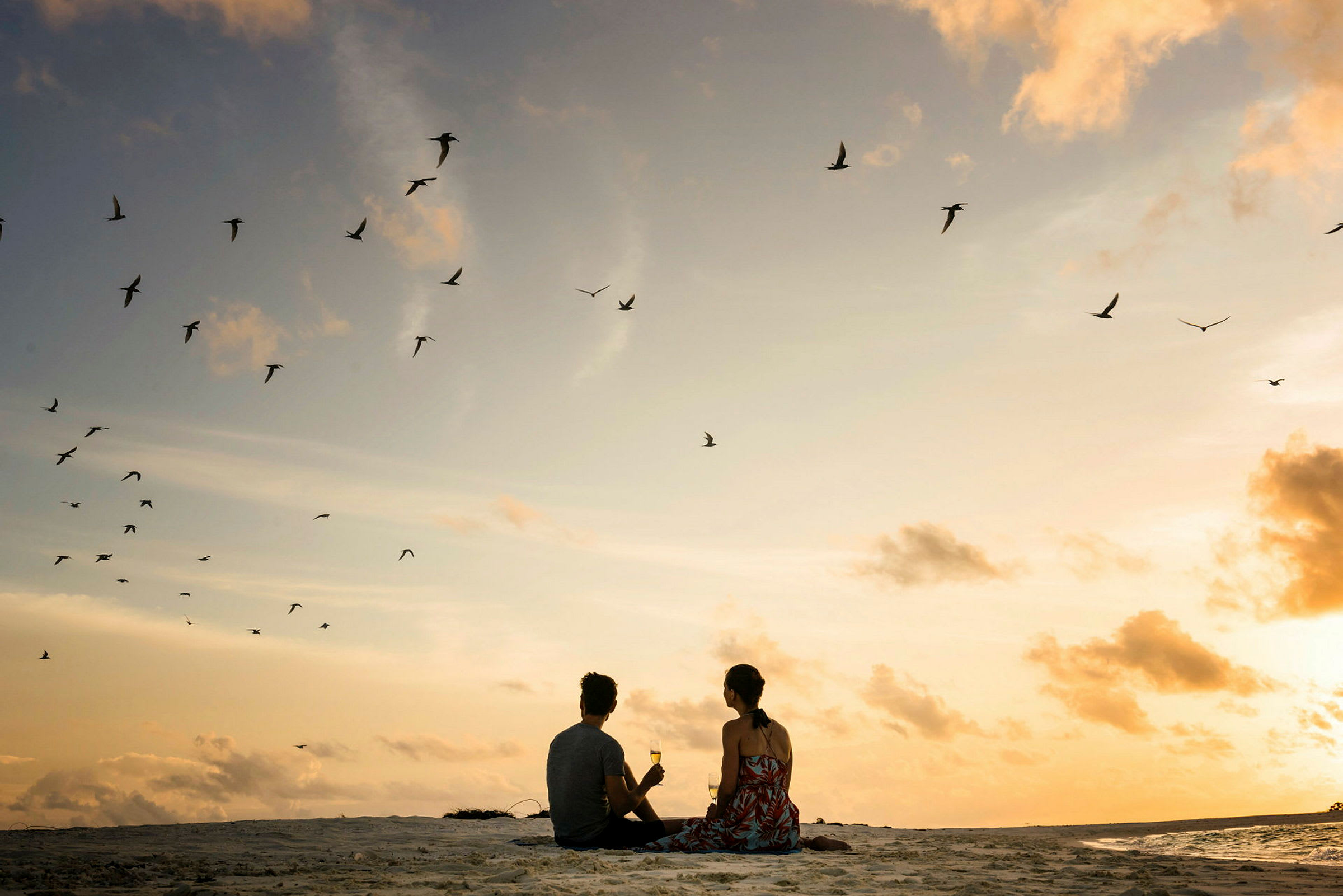 To personer sidder på en strand ved solnedgang og kigger på fugle, der flyver på himlen. (AI-genereret tekst)