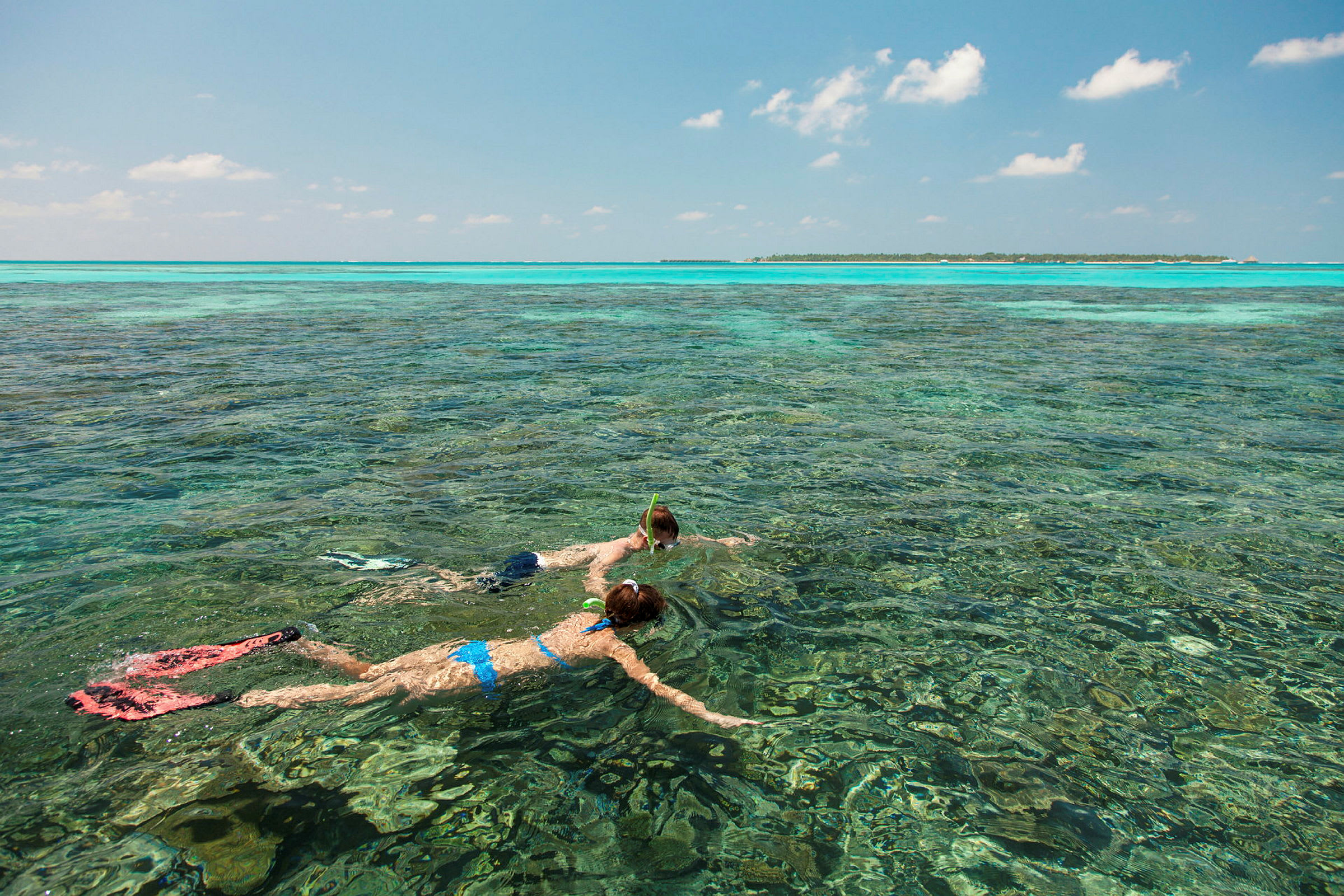 To personer snorkler i lavt vand med en klar himmel og en fjern ø i baggrunden. (AI-genereret tekst)