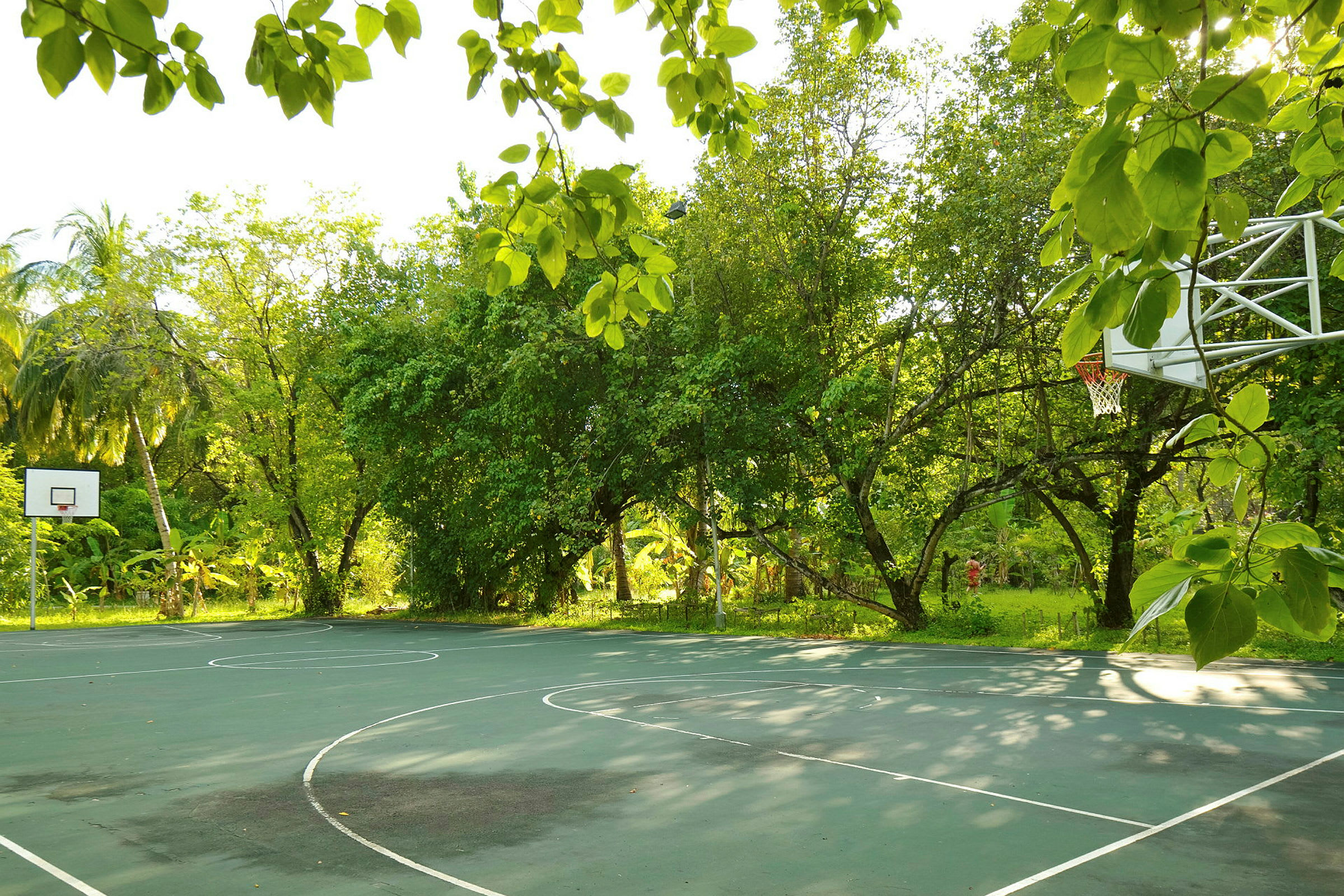 Basketballbane i en frodig have. (AI-genereret tekst)