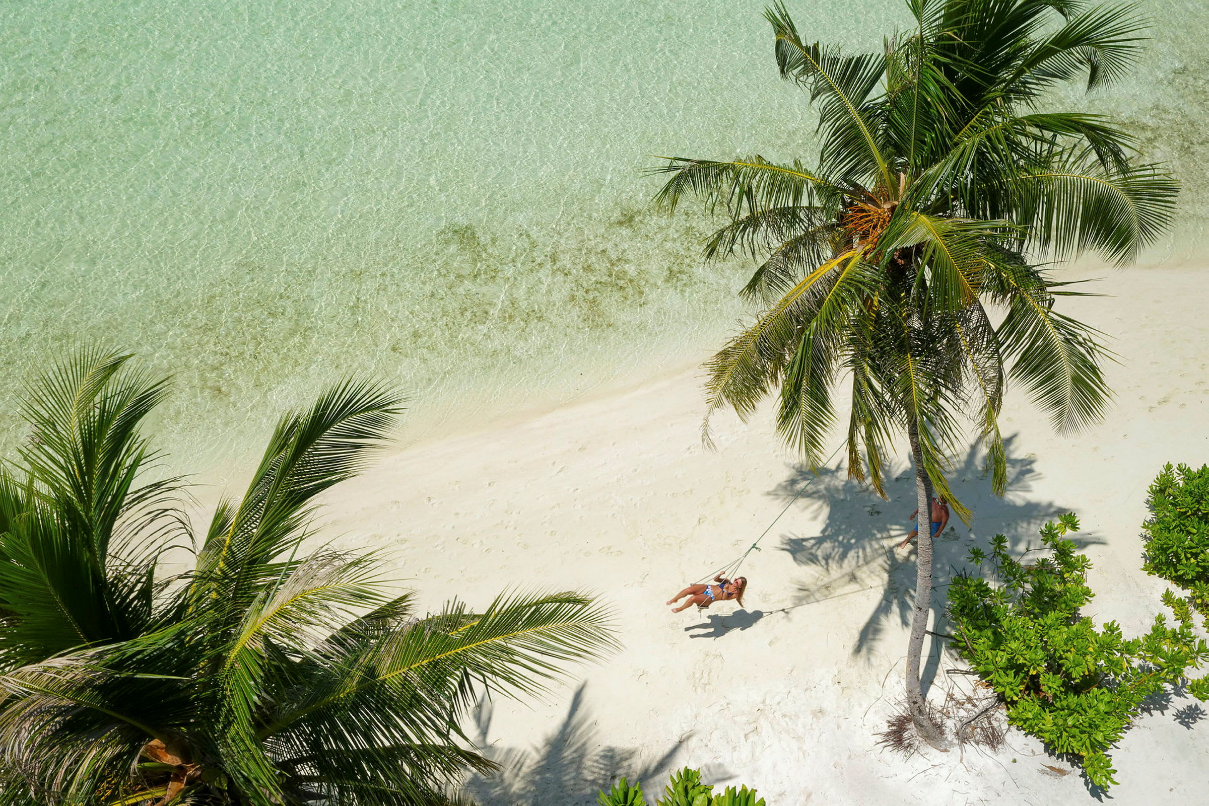 En kvinde gynger på en rebsving hængende fra en palme på en strand med klart vand. (AI-genereret tekst)