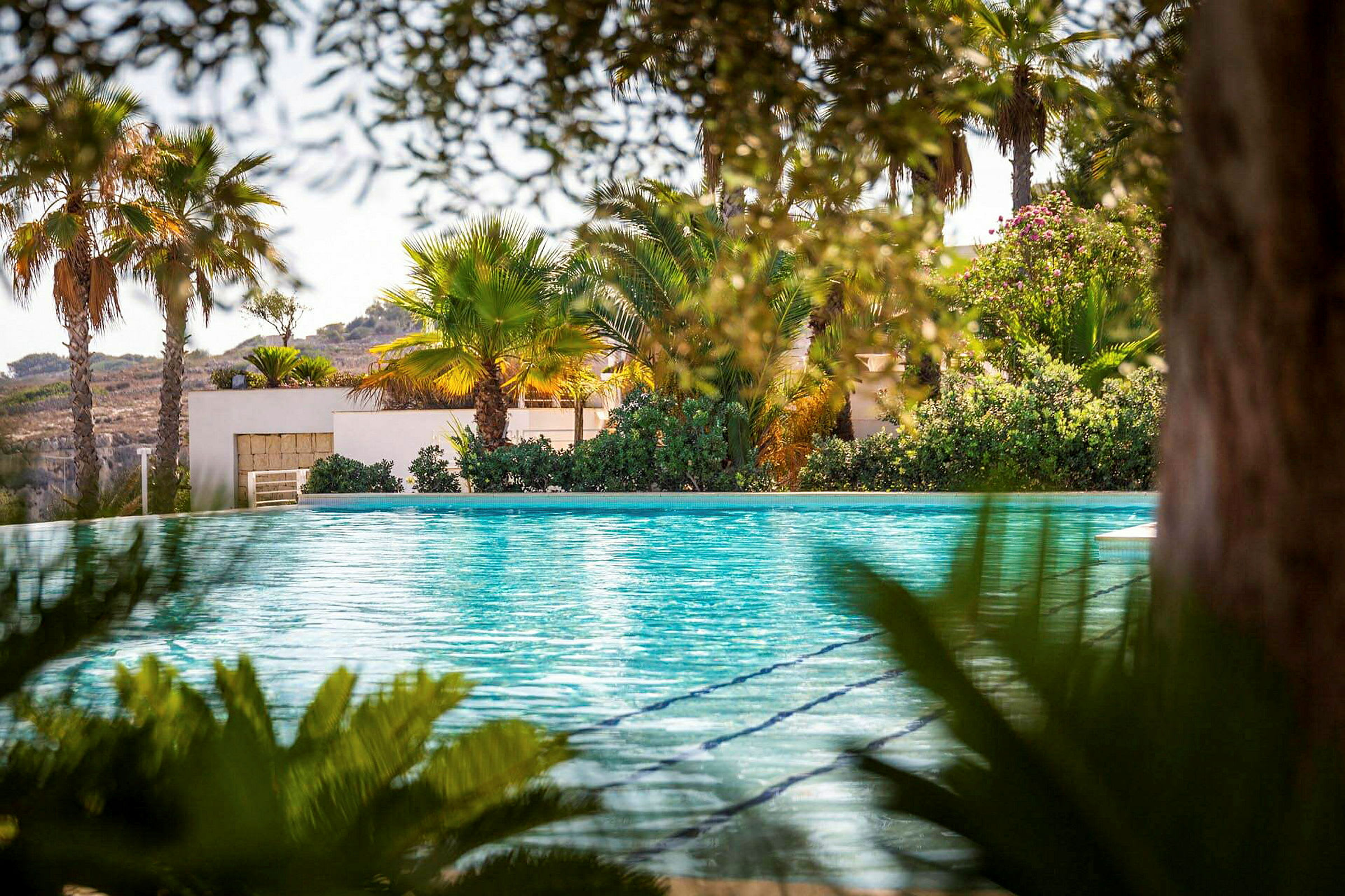 En udendørs swimmingpool omgivet af palmer og grønne omgivelser. (AI-genereret tekst)