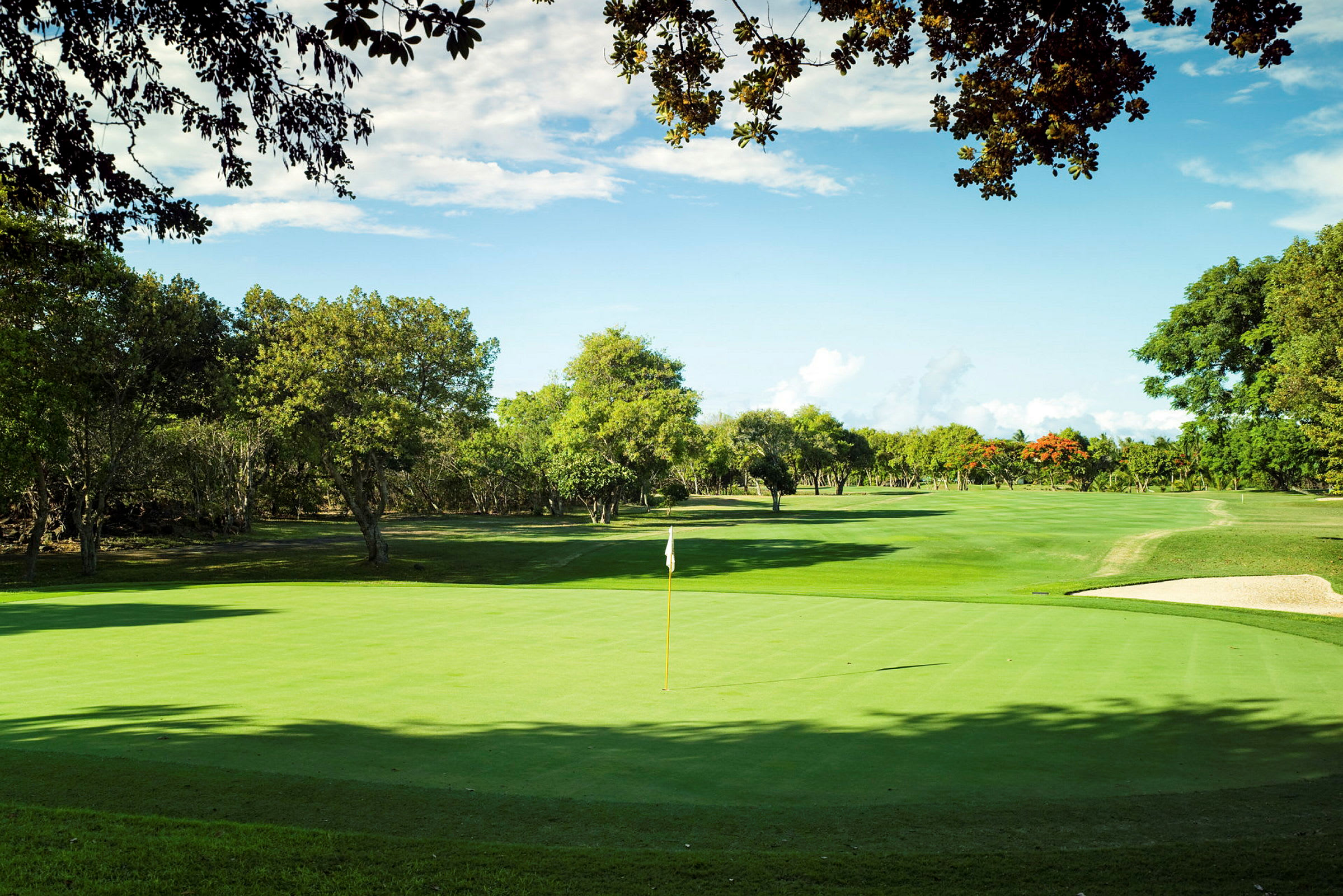 En golfbane med grønne fairways og omkringliggende træer. (AI-genereret tekst)