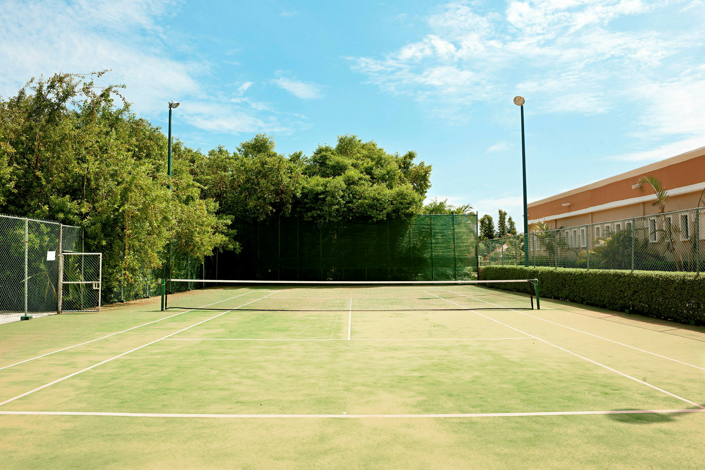 En tennisbane med grønt underlag og hvide linjer, omgivet af træer og en bygning i baggrunden. Et hegn omgiver banen. (AI-genereret tekst)