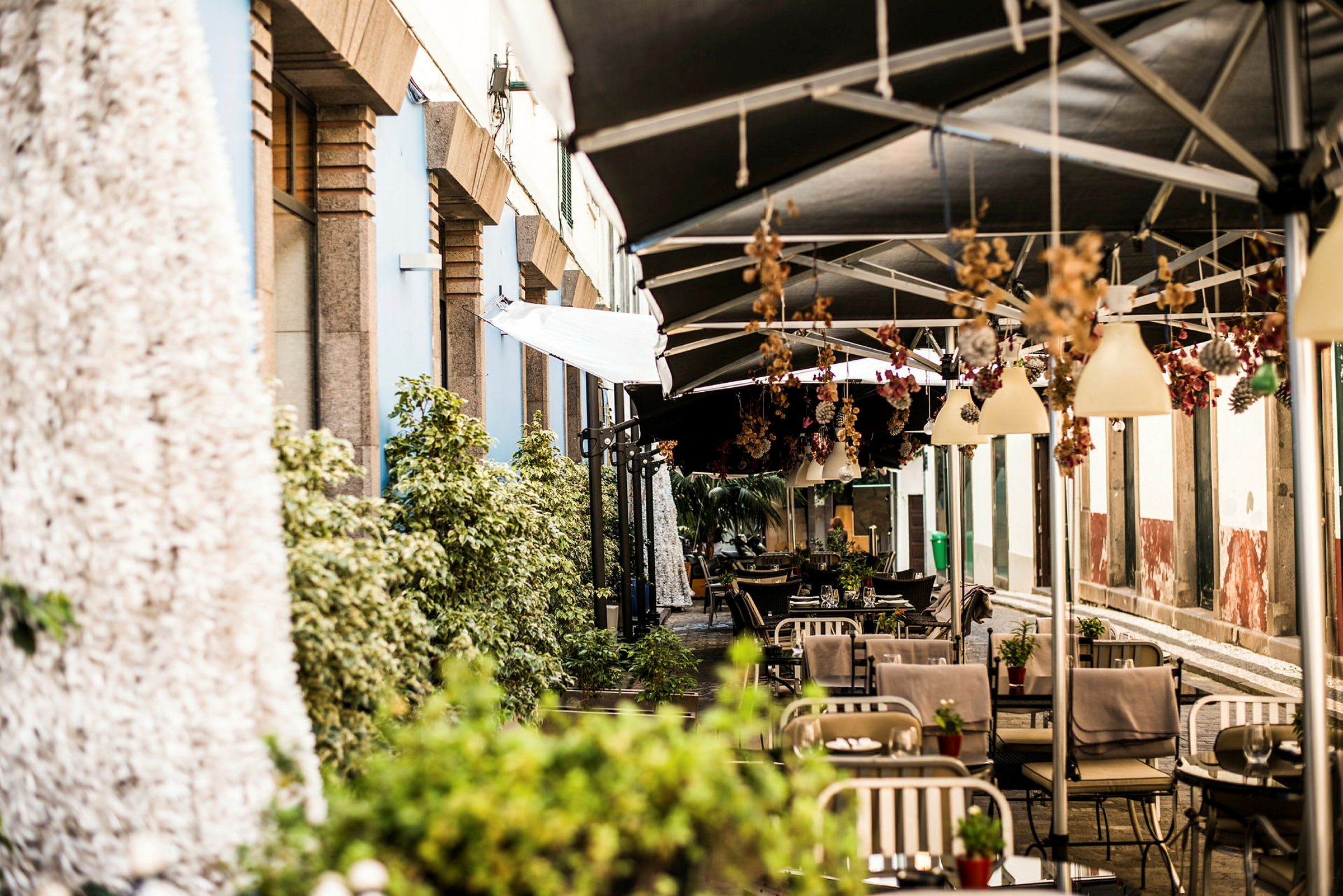 En udendørs café med borde og stole under sorte markiser, omgivet af planter. (AI-genereret tekst)