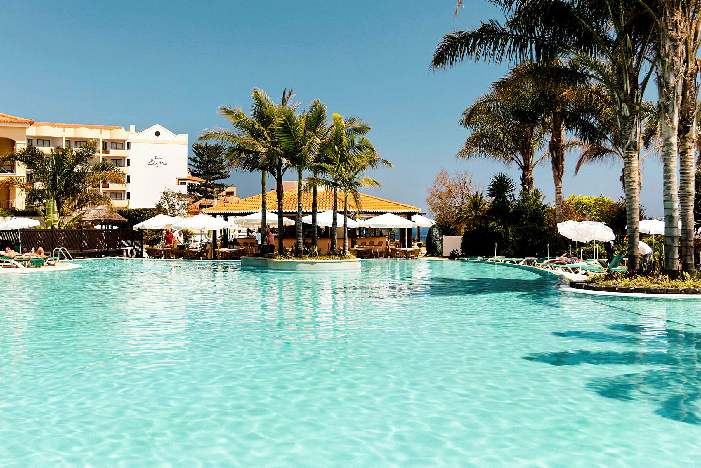 En udendørs pool med palmer og liggestole omkring. (AI-genereret tekst)