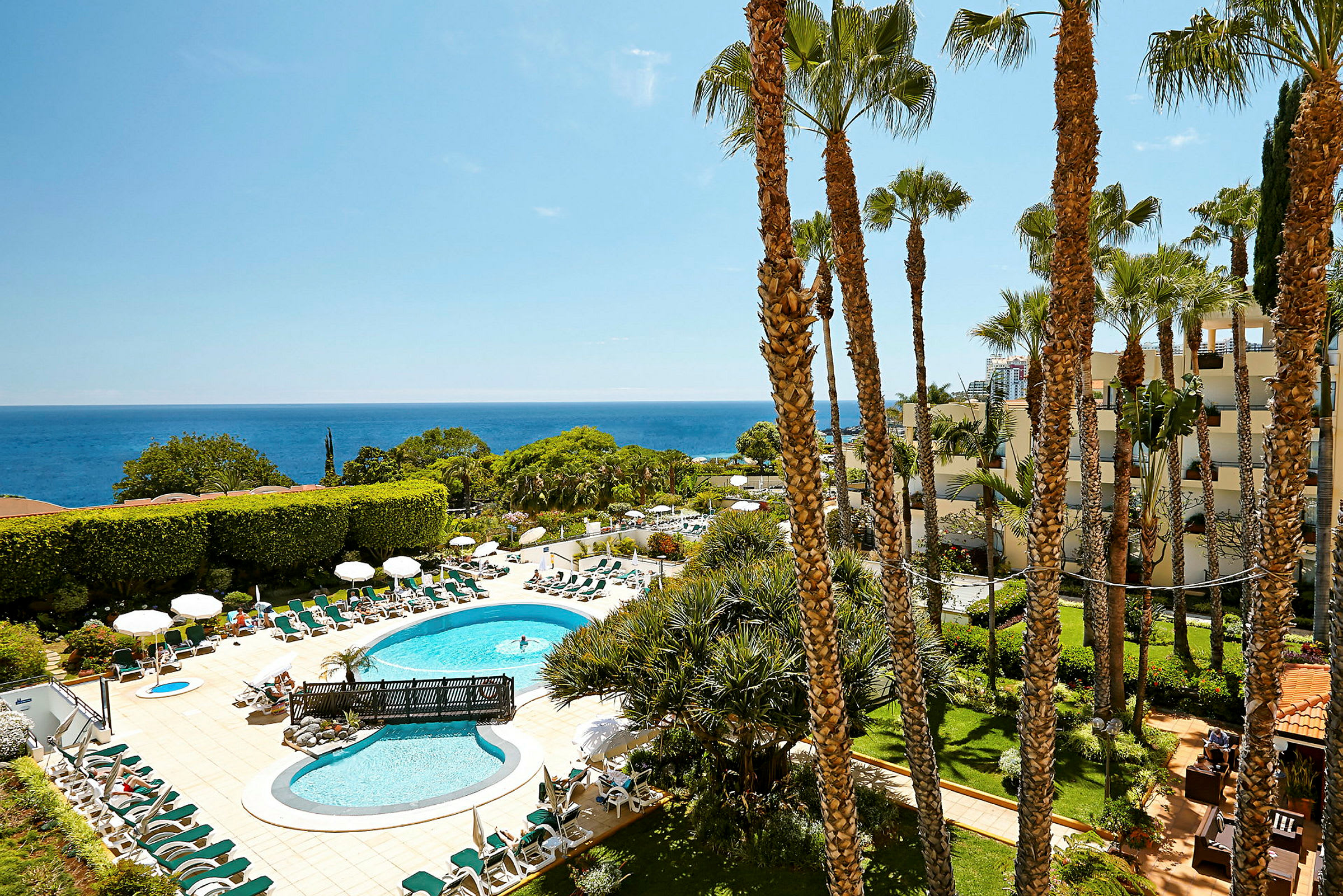 En hotelpool med liggestole og parasoller er omgivet af grønt med havet i baggrunden. (AI-genereret tekst)