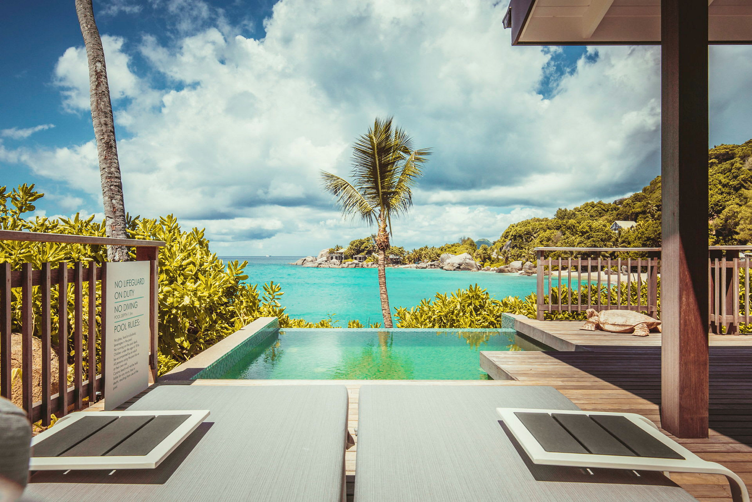 Billede af en infinity-pool med udsigt over havet, omgivet af beplantning og en palme. (AI-genereret tekst)