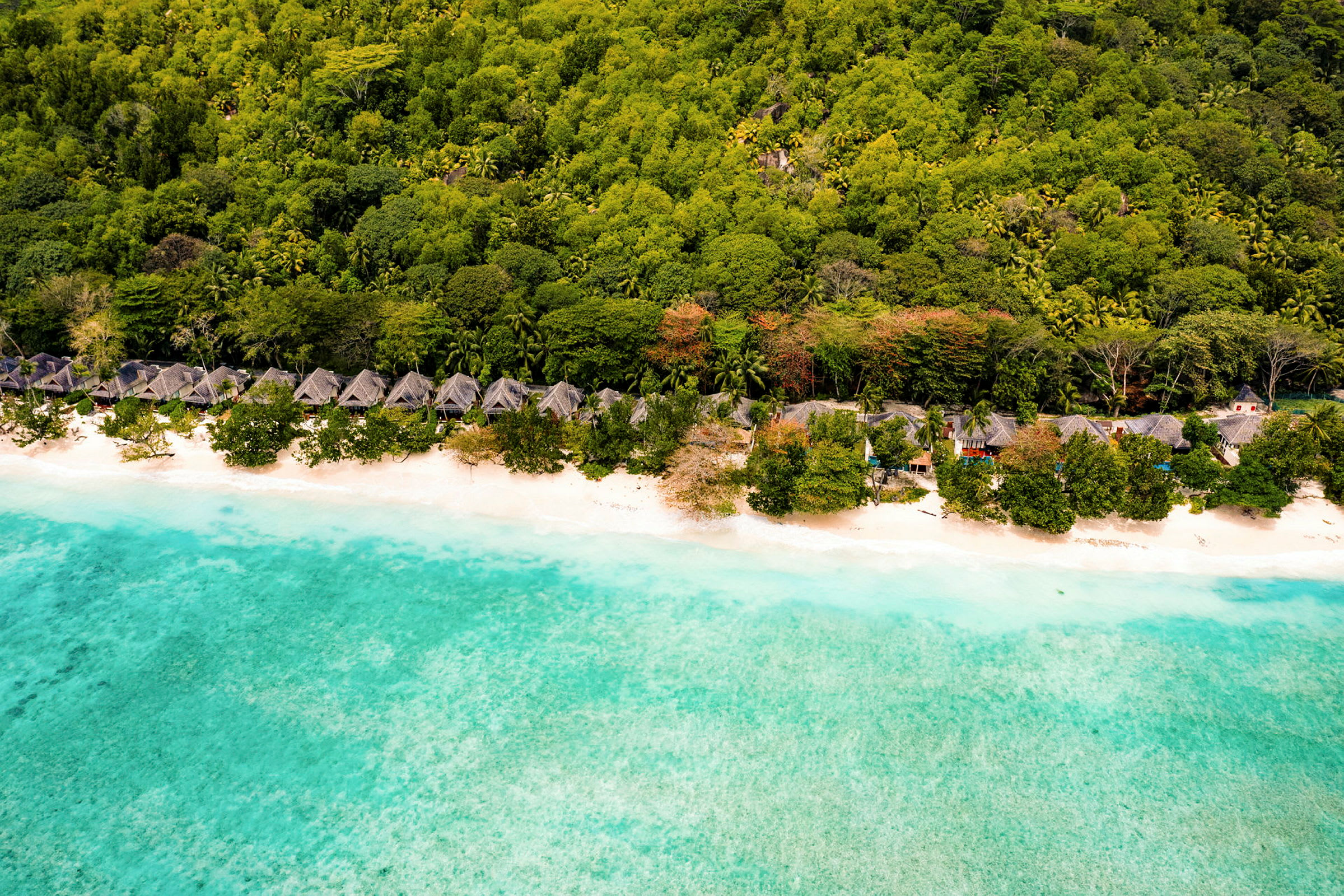 Luftfoto af strand og bungalower omgivet af frodig vegetation. (AI-genereret tekst)