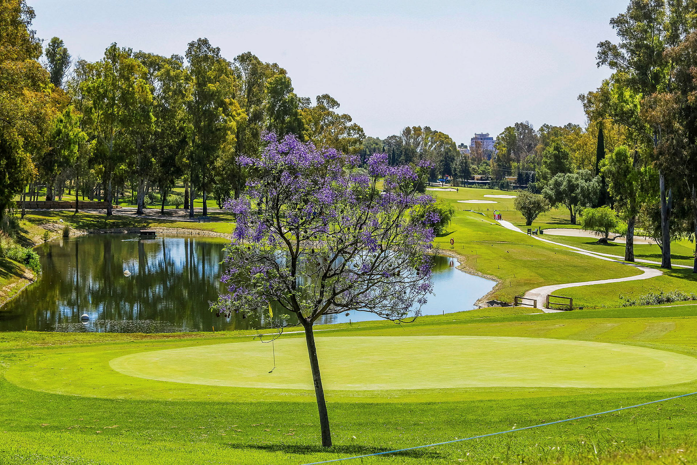 Cirka 3 km fra hotellet findes to 18-hullers golfbaner