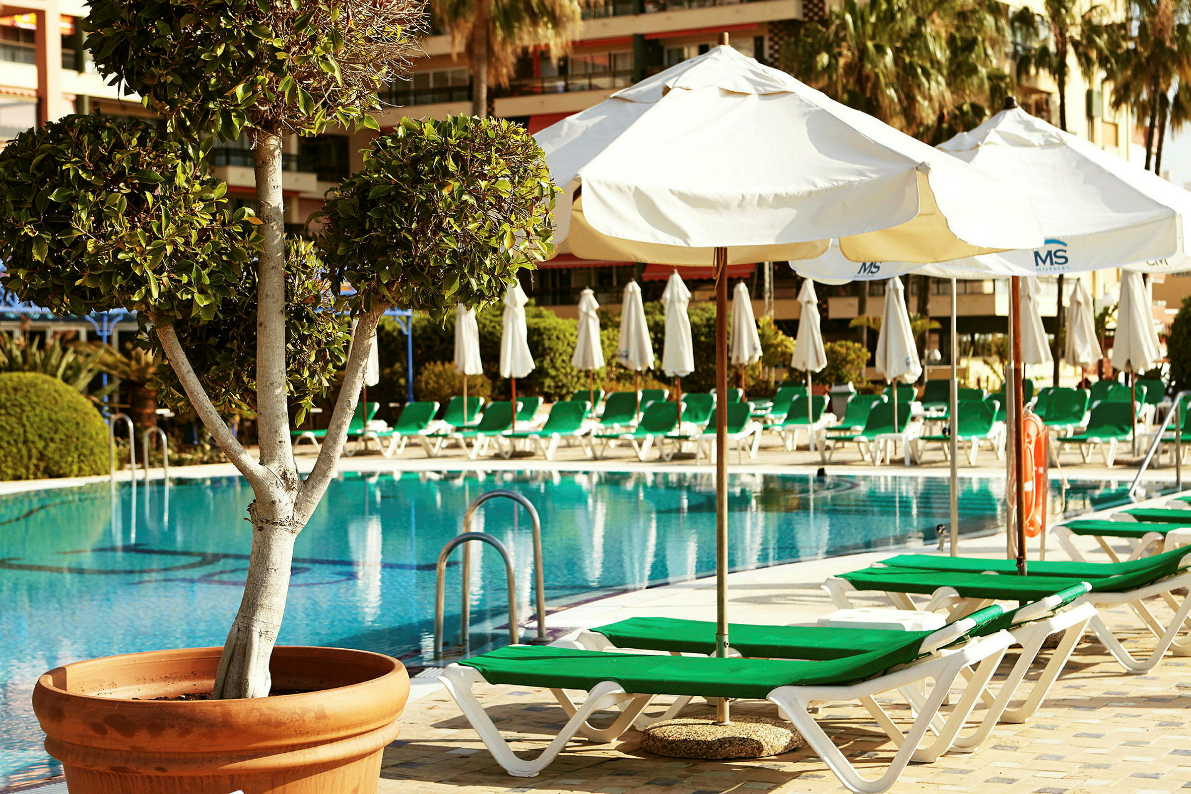 En pool med liggestole og parasoller i et hotelområde. (AI-genereret tekst)