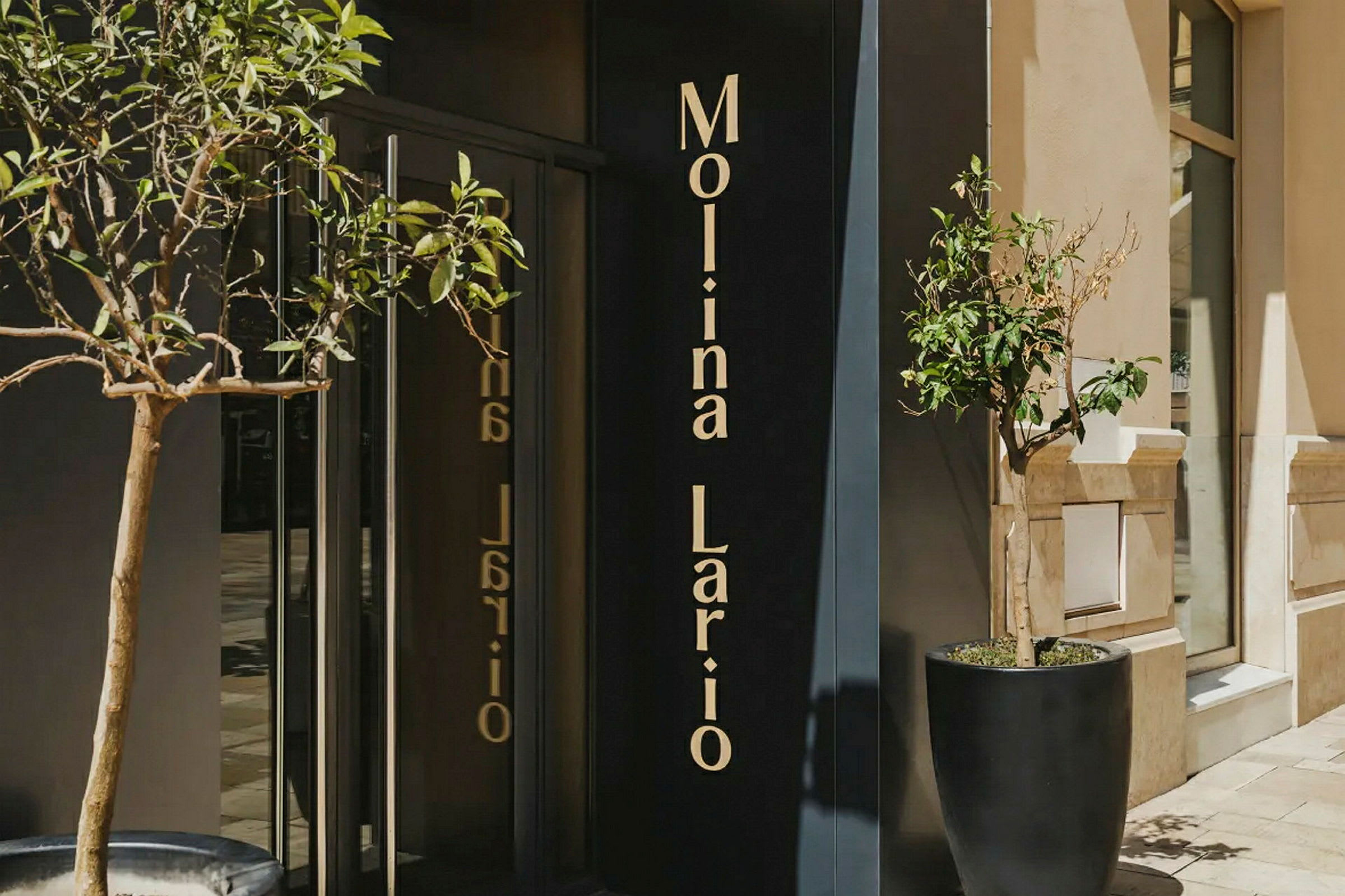 Indgang med glasdøre, planter i store potter og et skilt med teksten "Molina Lario". (AI-genereret tekst)