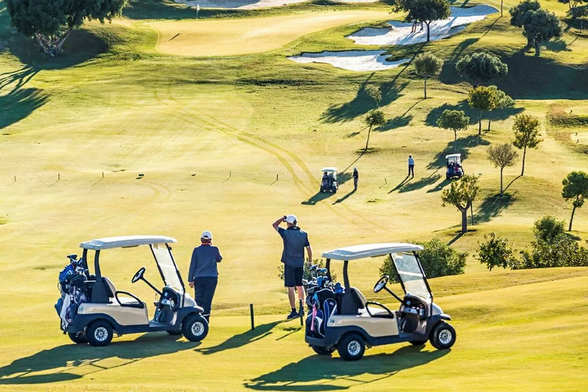 En golfbane med golfvogne og personer, der spiller golf. (AI-genereret tekst)