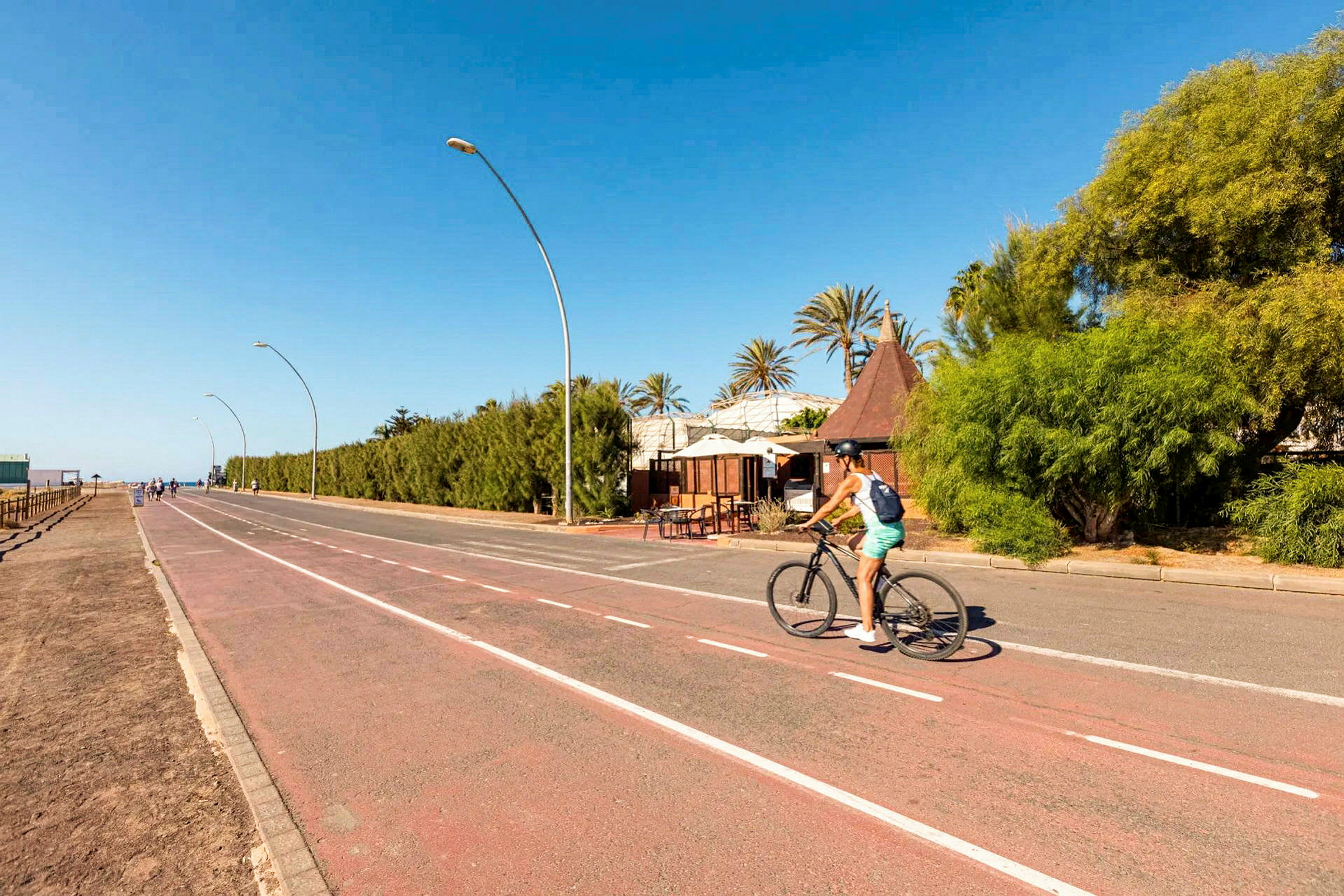 En person cykler på en cykelsti ved siden af en vej med træer og bygninger i baggrunden. (AI-genereret tekst)
