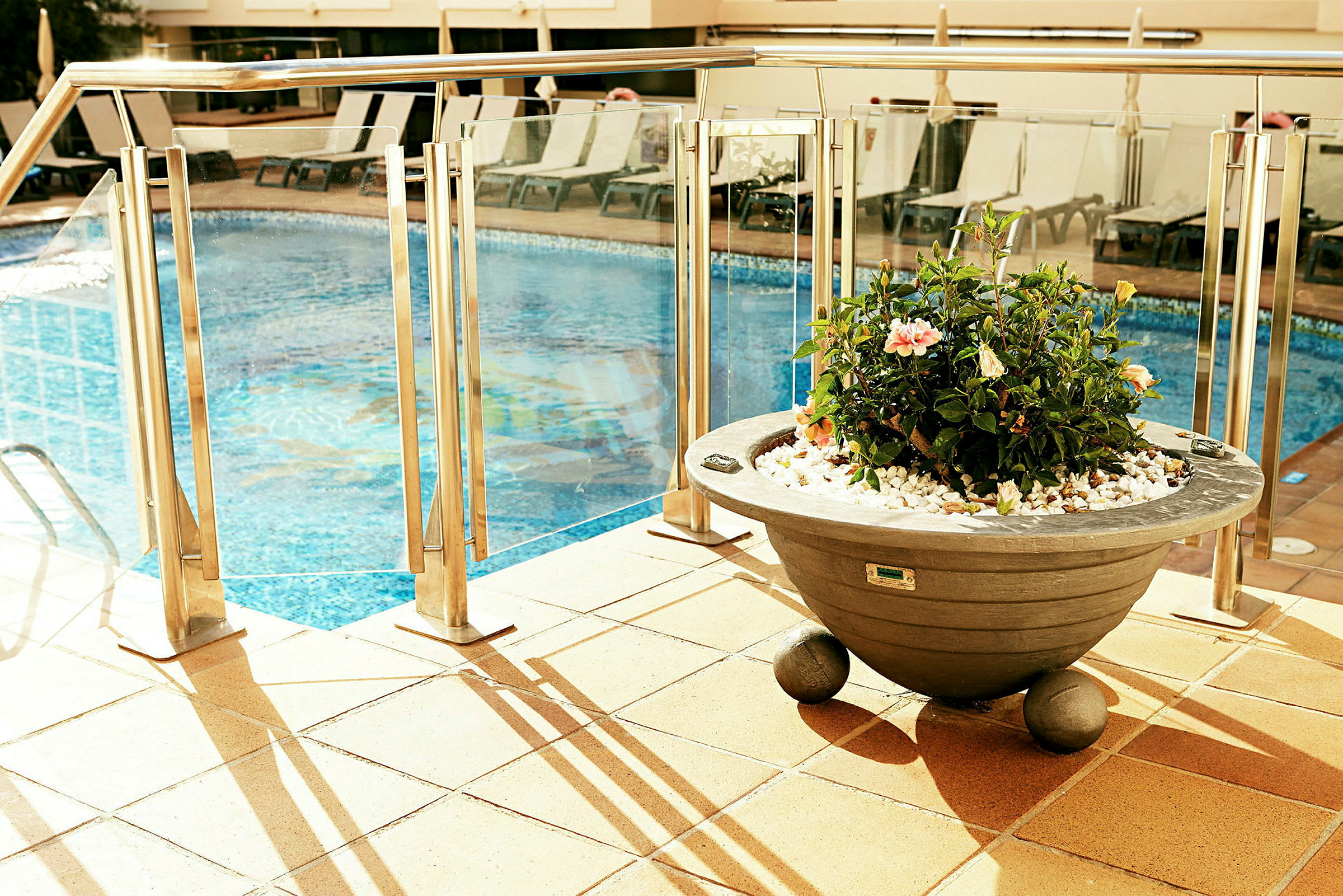 En swimmingpool omgivet af liggestole og en blomsterkrukke i forgrunden. (AI-genereret tekst)