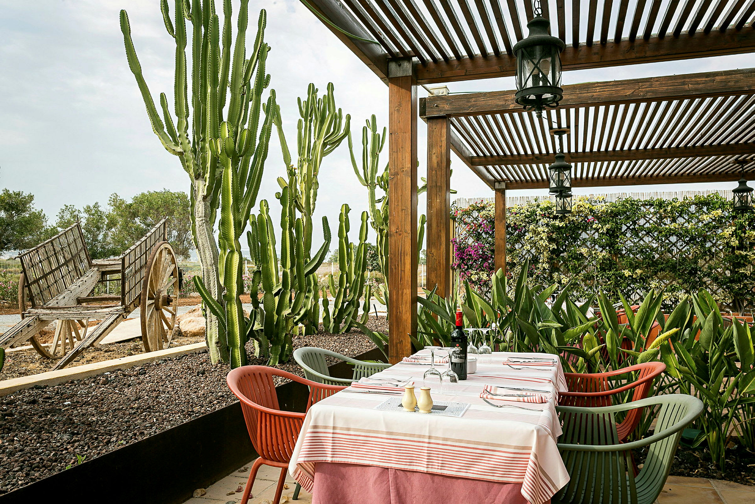 En terrasse med et spisbord dækket med en dug, omgivet af frodig beplantning og kaktusser. En gammel trævogn ses i baggrunden. (AI-genereret tekst)