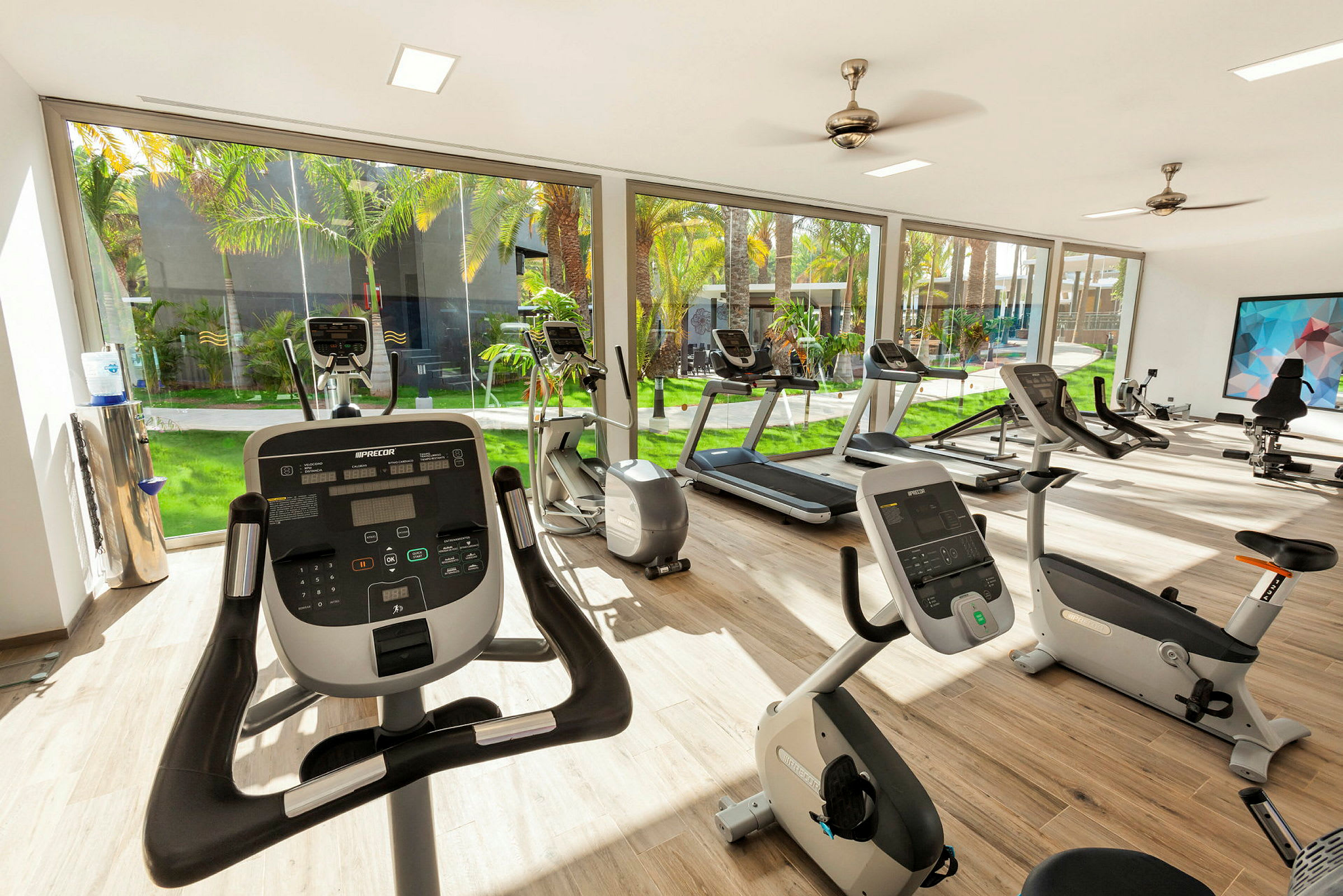 Et fitnesscenter med træningsmaskiner, store vinduer og udsigt til en frodig gårdhave. (AI-genereret tekst)