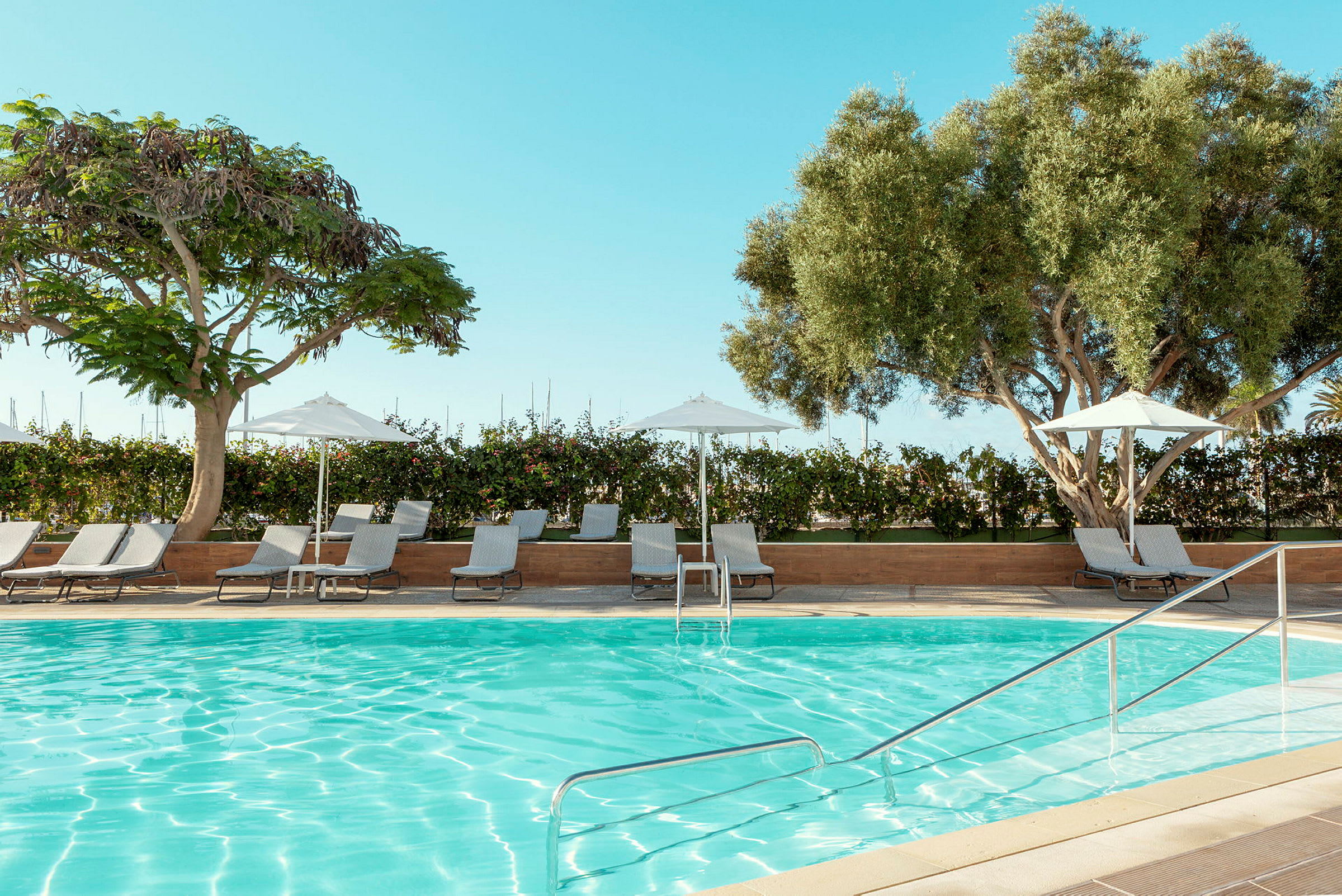 Udendørs swimmingpool med klart vand, liggestole og parasoller omgivet af grønne træer og buske under en klar blå himmel. (AI-genereret tekst)