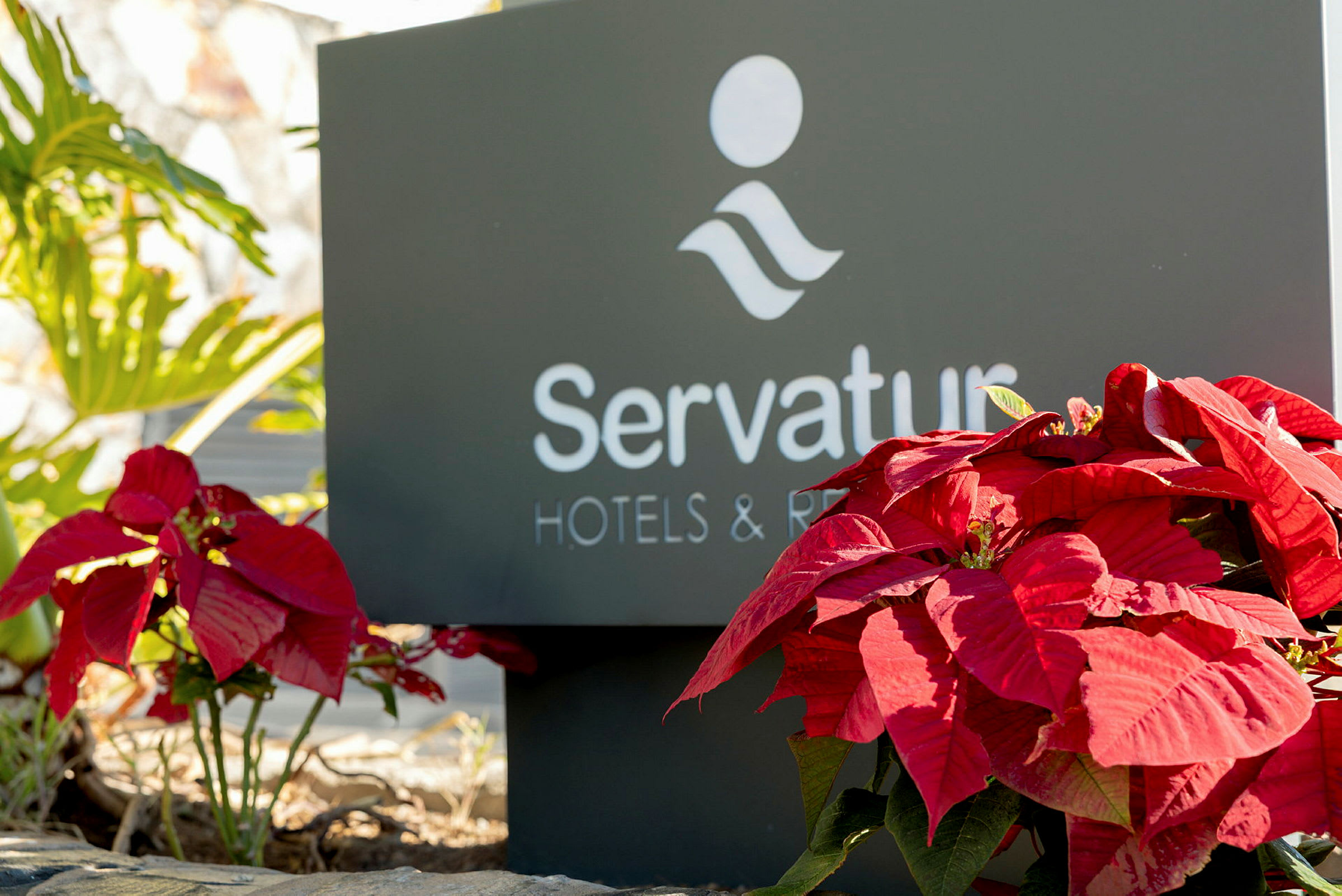 Et skilt viser teksten 'Servatur Hotels & Resorts' med røde julestjerner foran. (AI-genereret tekst)