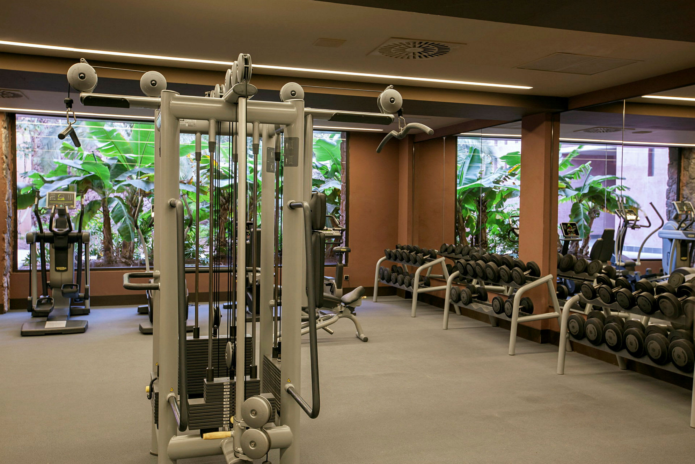 Et fitnesscenter med træningsudstyr såsom vægte, maskiner og spejle, med vinduer der viser grønt udenfor. (AI-genereret tekst)