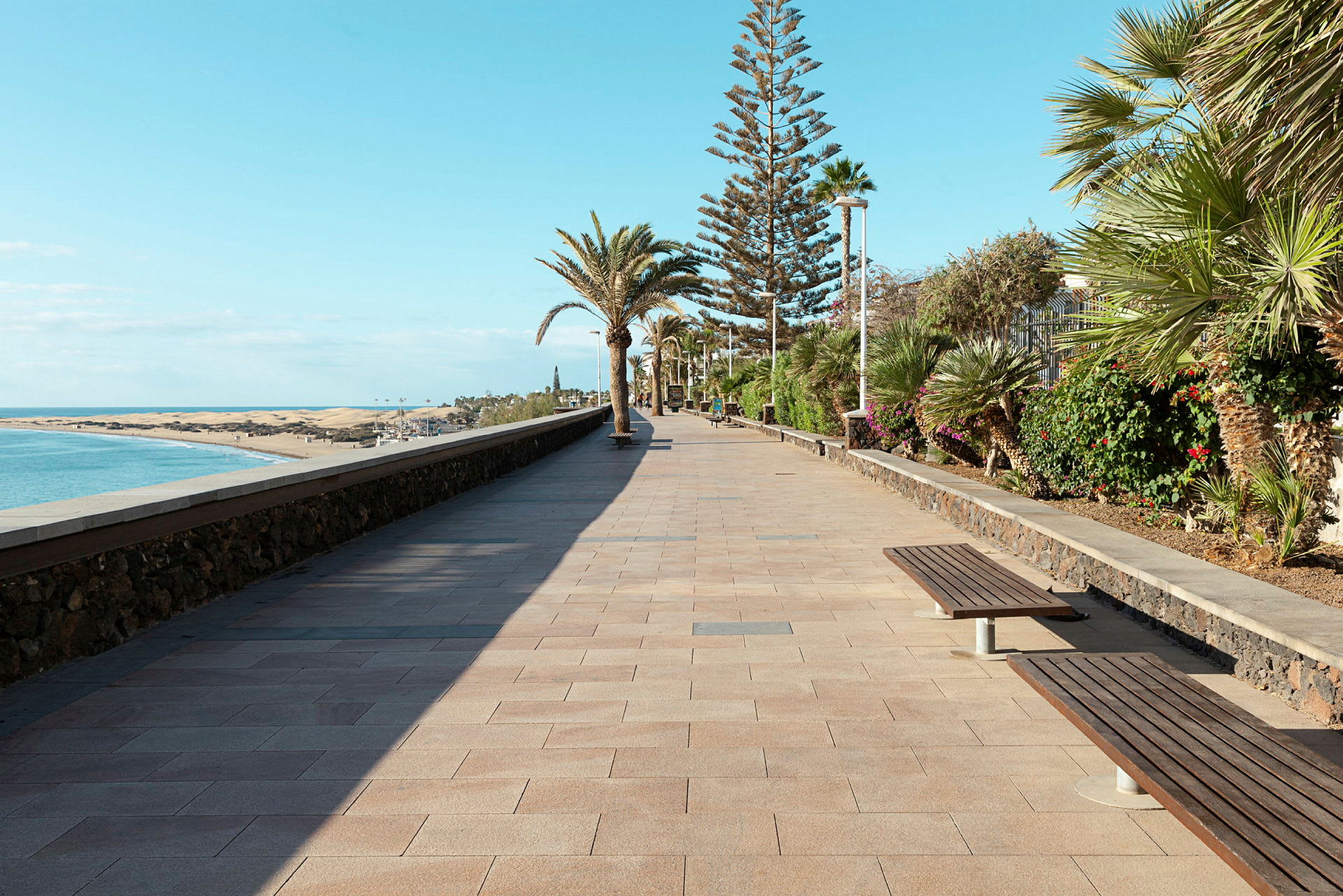 En strandpromenade med palmer, havet til venstre og sandklitter i baggrunden. (AI-genereret tekst)