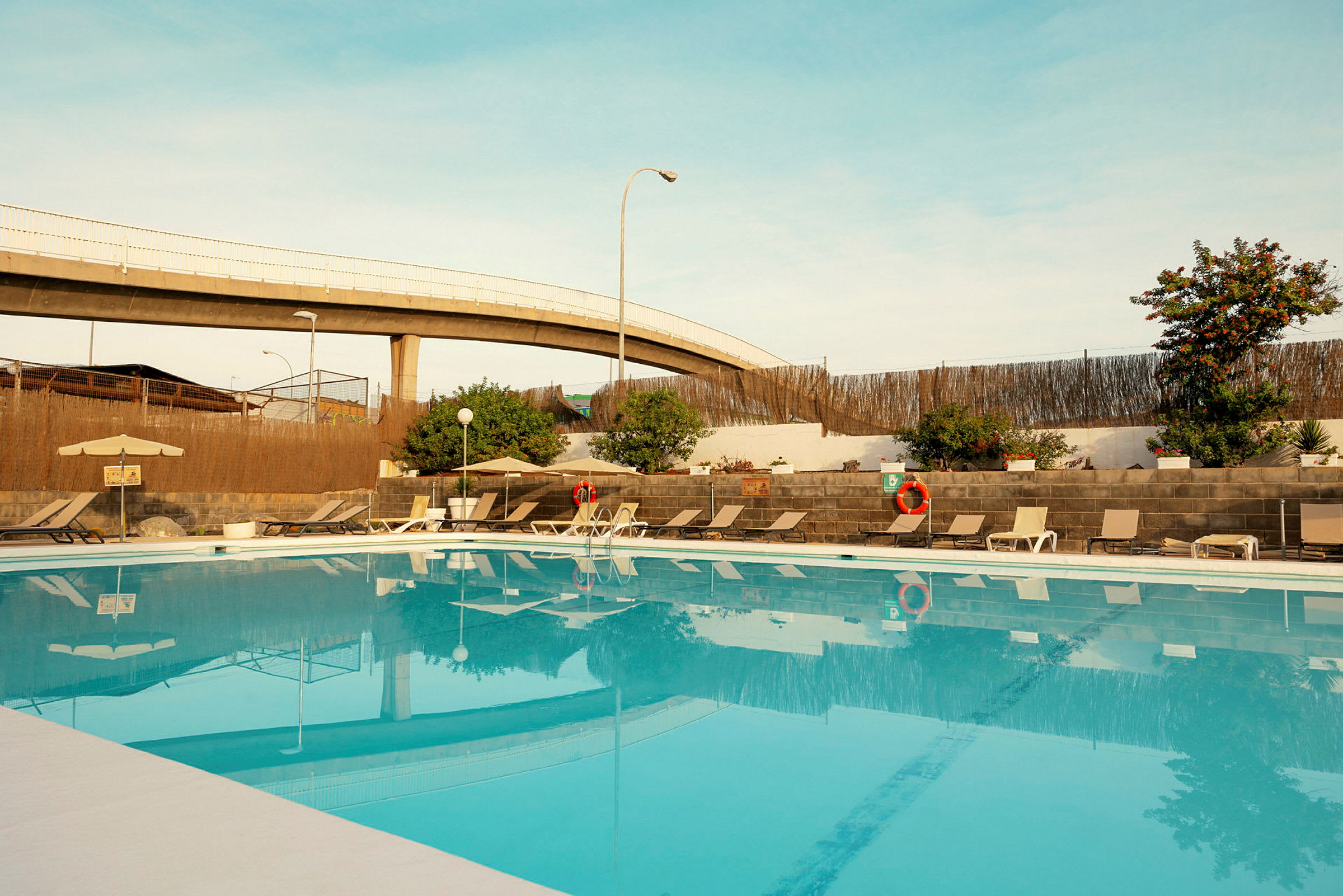 Udendørs pool med liggestole og parasoller, omgivet af planter og mur. (AI-genereret tekst)