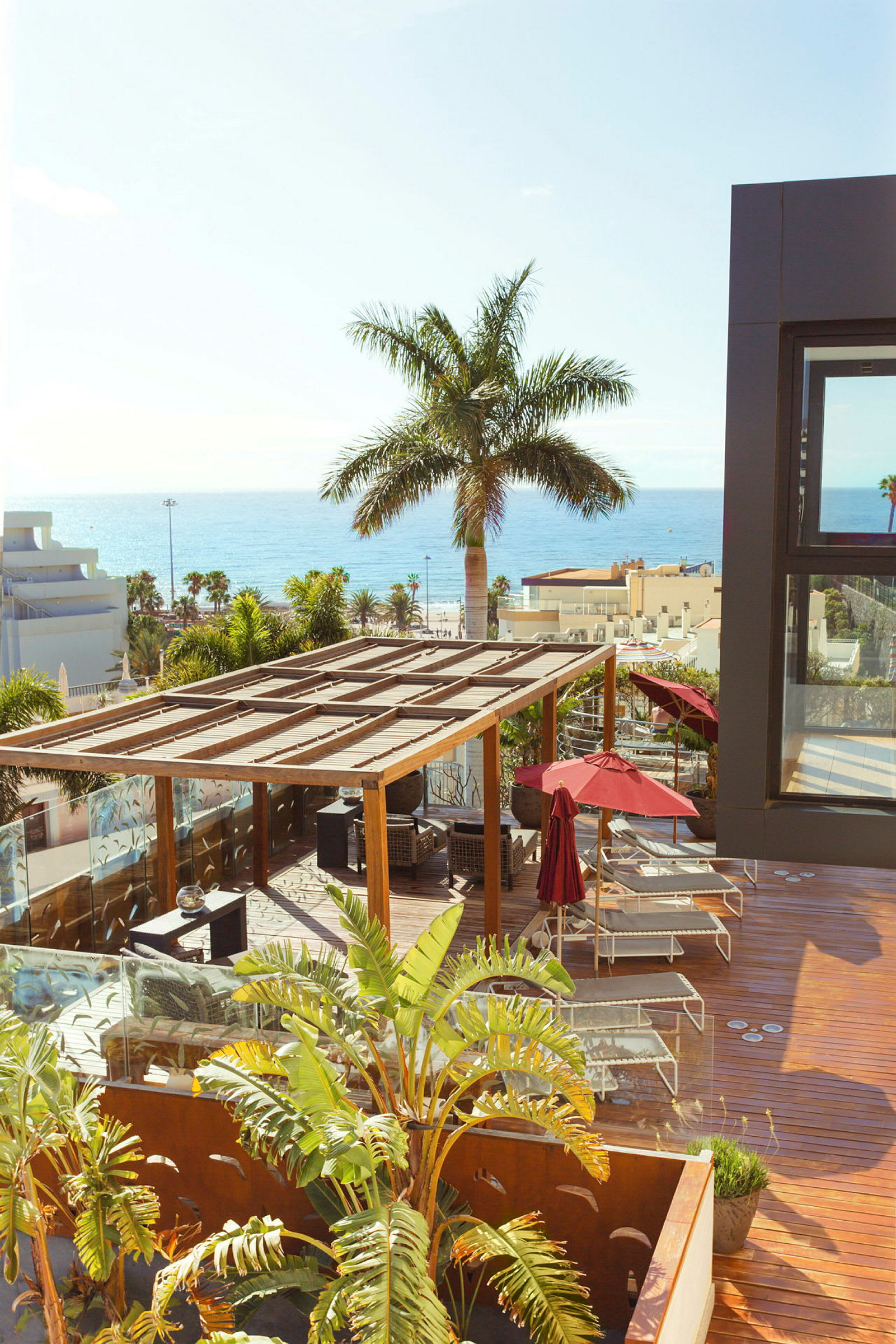 Udsigt over en terrasse med pergola, liggestole, parasoller og en stor palme, med havet i baggrunden. (AI-genereret tekst)