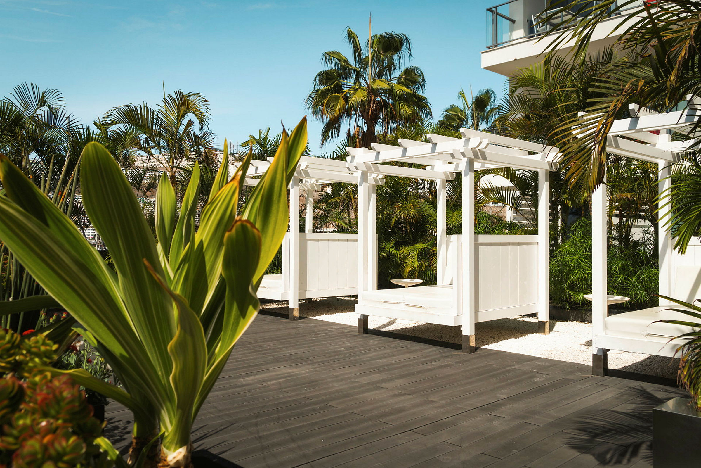 Hvid træpergola på en anlagt terrasse omgivet af palmer. (AI-genereret tekst)