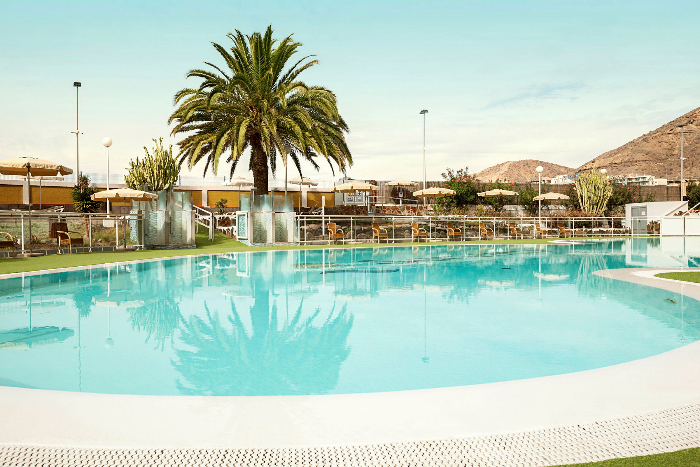 En udendørs swimmingpool omgivet af liggestole, parasoller og en stor palme. (AI-genereret tekst)
