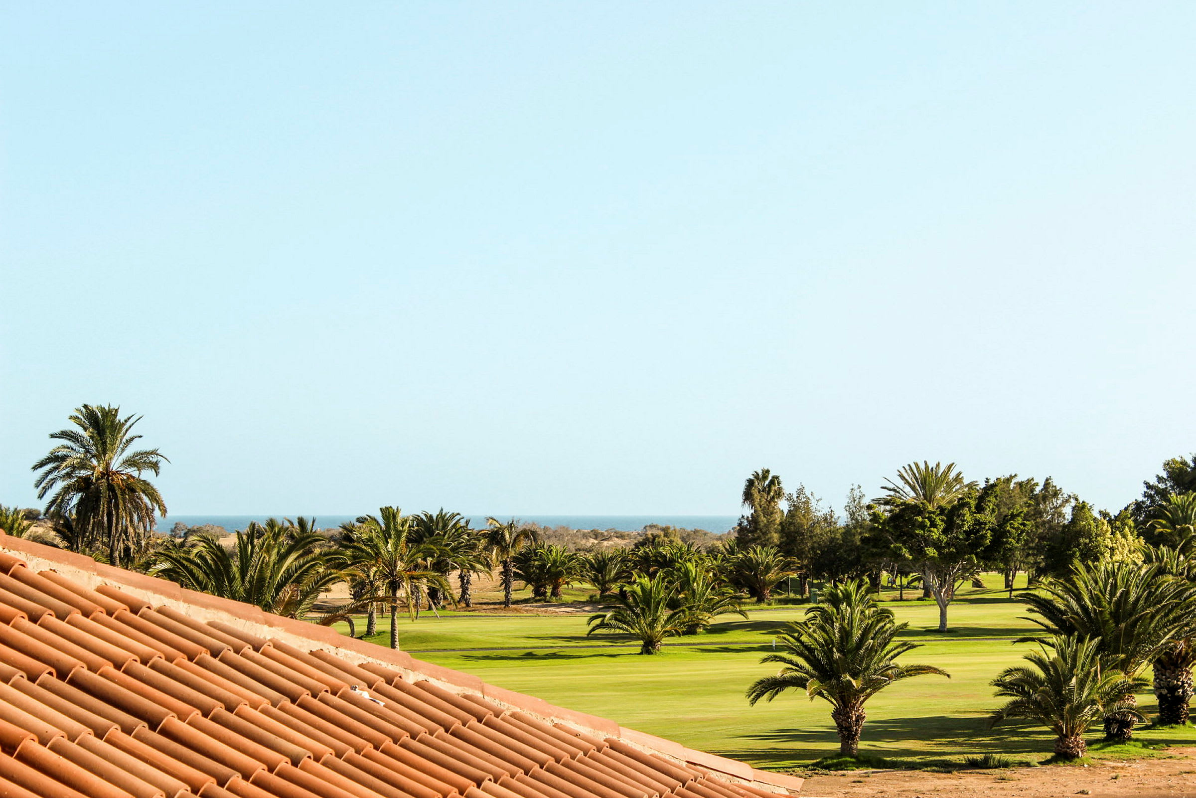 En panoramisk udsigt over en golfbane med palmer og havet i baggrunden. (AI-genereret tekst)