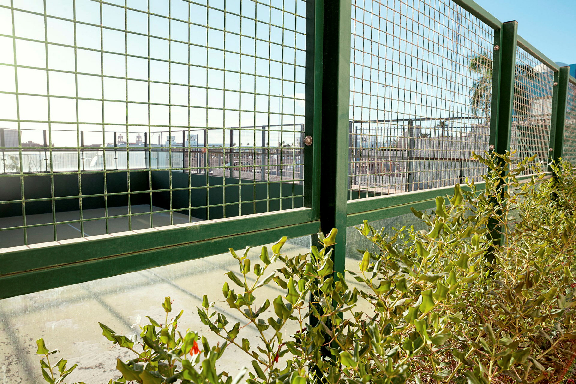 Et billede af en grøn gitterhegn foran en padelbane med vegetation i forgrunden. (AI-genereret tekst)