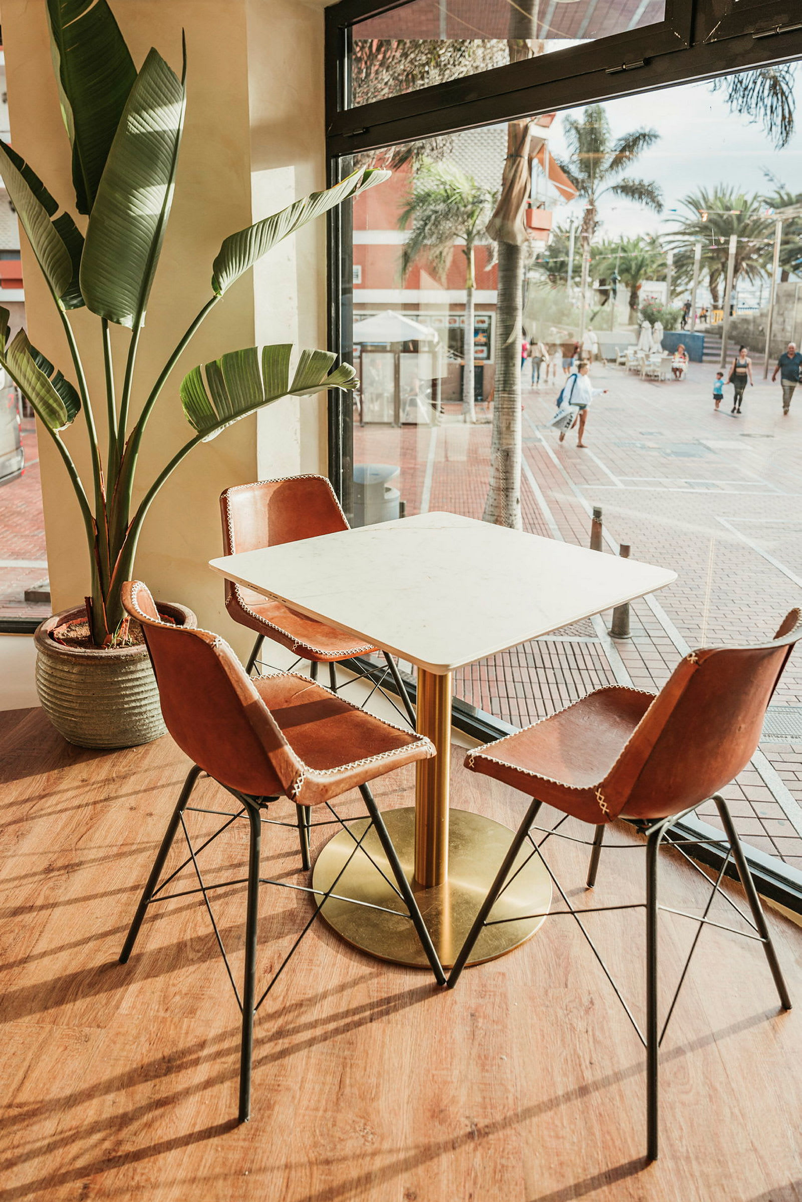 Et stilfuldt cafébord med træstole og en stor potteplante ved et vindue med udsigt til en moderne gade. (AI-genereret tekst)