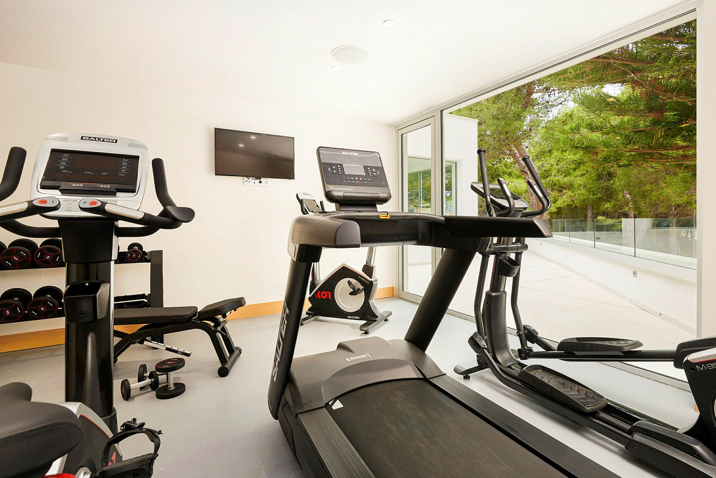 Indendørs fitnessrum med løbebånd, motionscykler og træningsudstyr med udsigt til fyrretræer. (AI-genereret tekst)