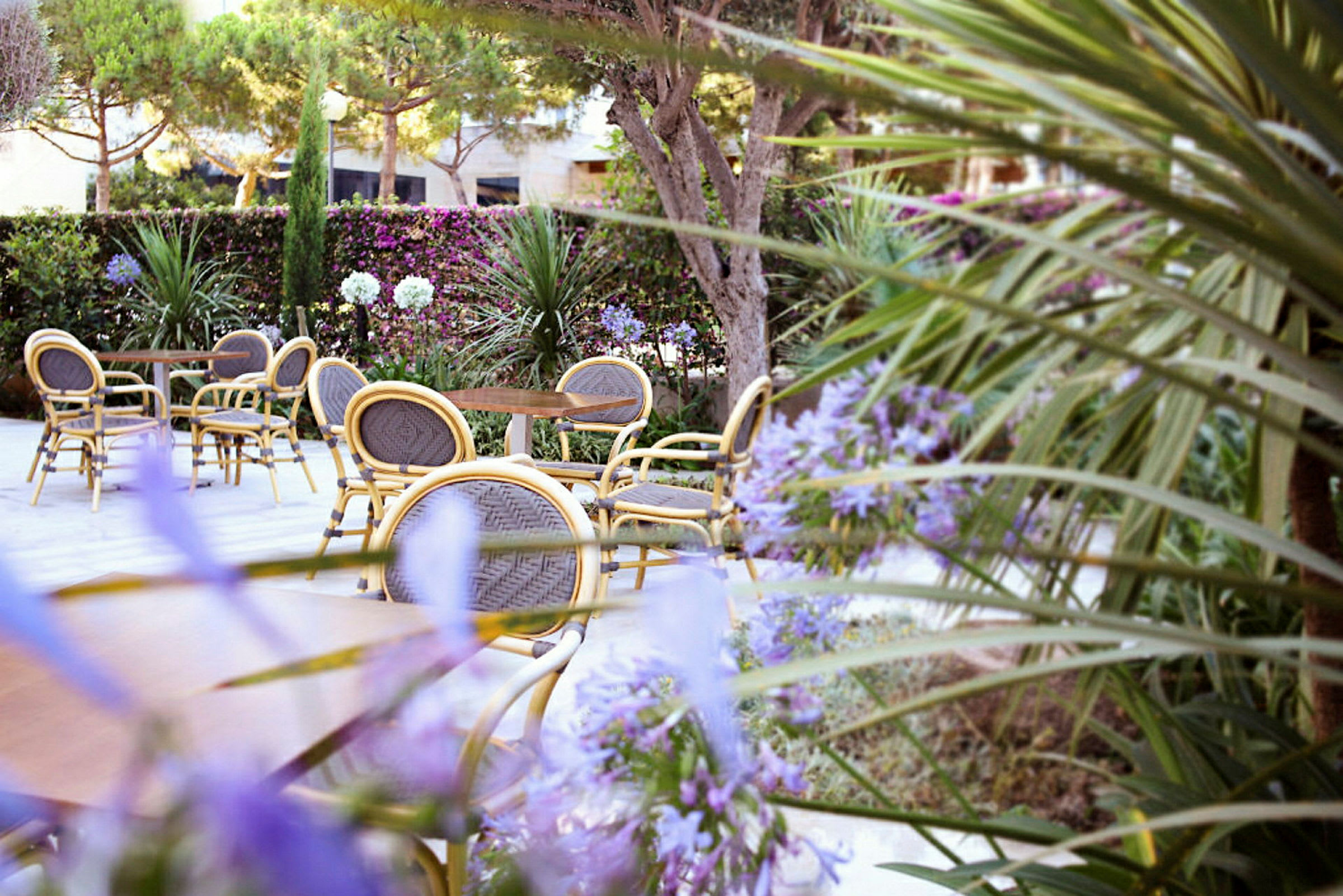 En terrasse med rottingstole og borde, omgivet af grønne planter og blomster. (AI-genereret tekst)