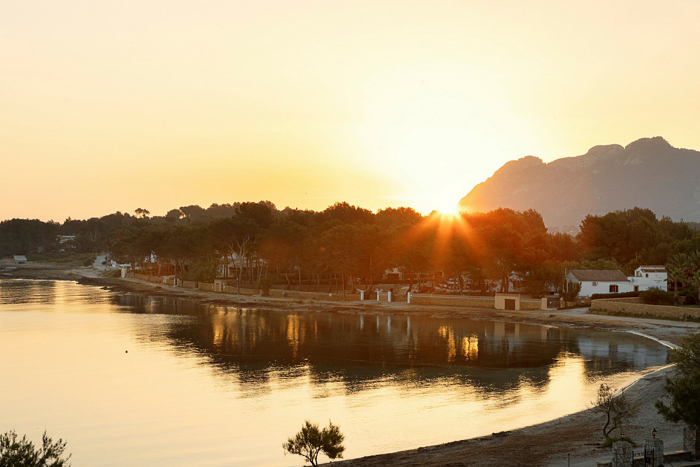 Solnedgang over en strand med træer og bygninger i baggrunden. (AI-genereret tekst)