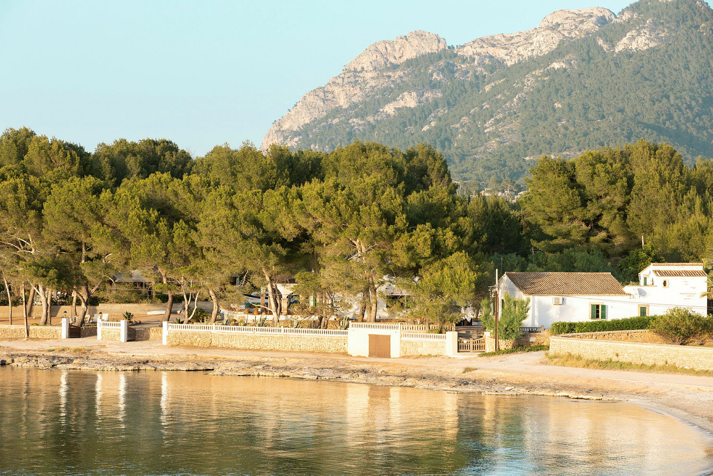 Lavvandet strand med klart blåt vand, fyrretræer på land og bjerge i baggrunden. (AI-genereret tekst)