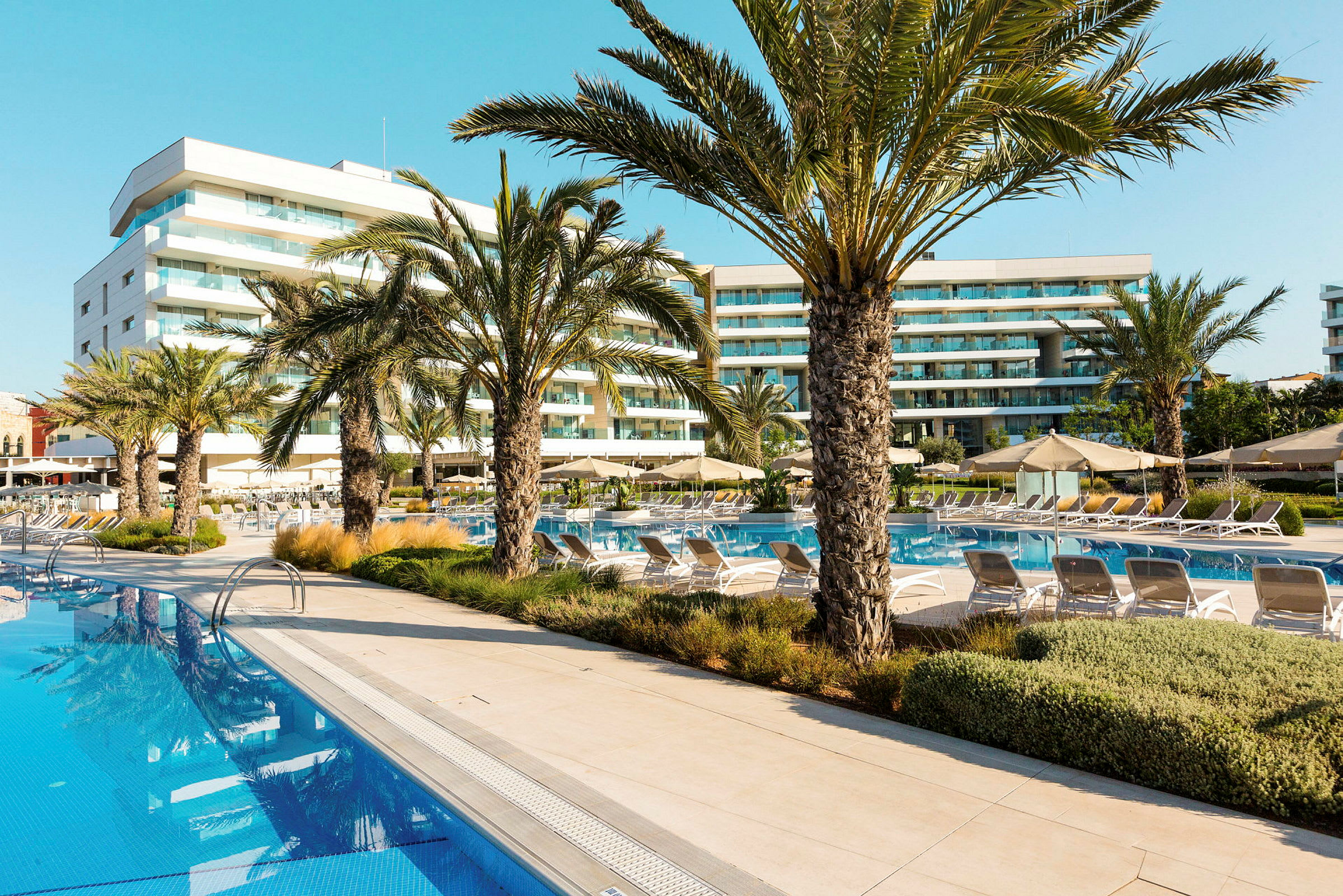 Billede af et hotelområde med en pool, liggestole og palmer. (AI-genereret tekst)